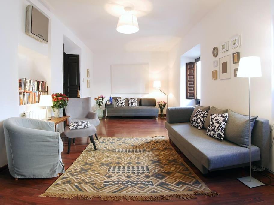 VIP HOUSE RENTALS, entire apartment in Malaga Old Town