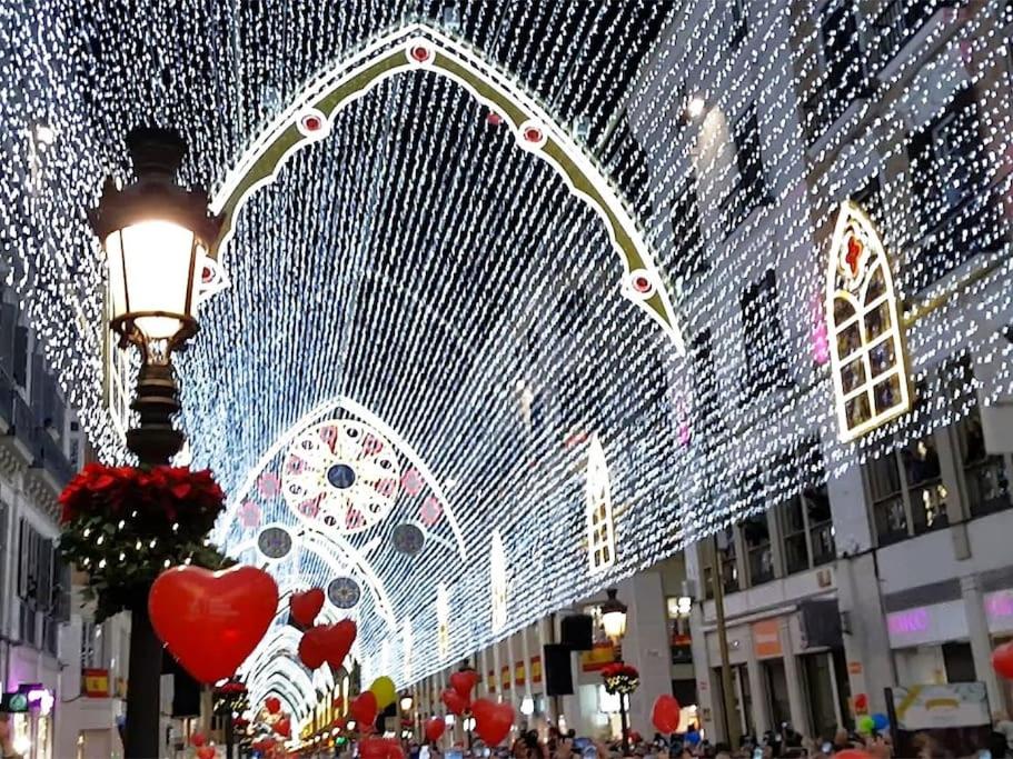 VIP HOUSE RENTALS, entire apartment in Malaga Old Town