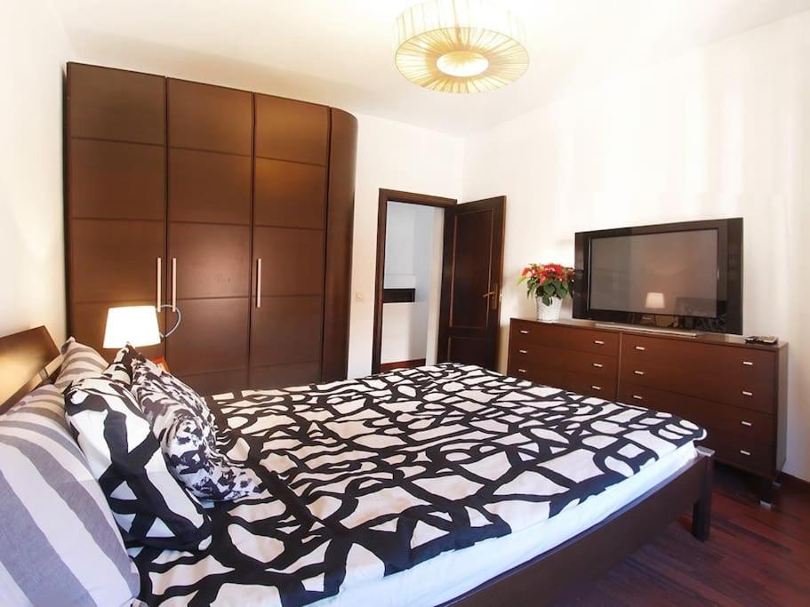 VIP HOUSE RENTALS, entire apartment in Malaga Old Town