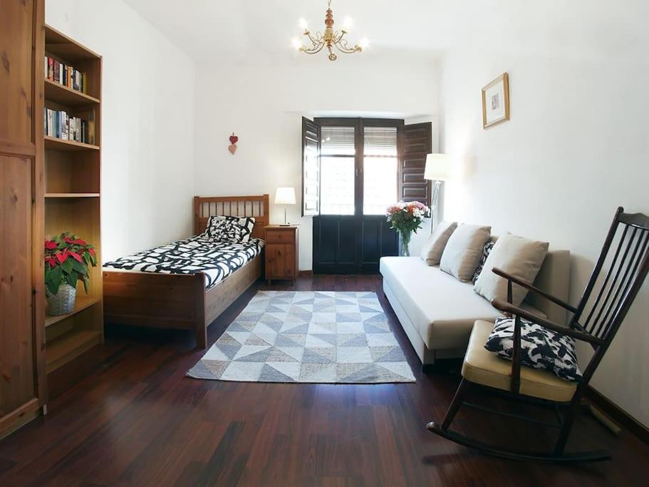 VIP HOUSE RENTALS, entire apartment in Malaga Old Town