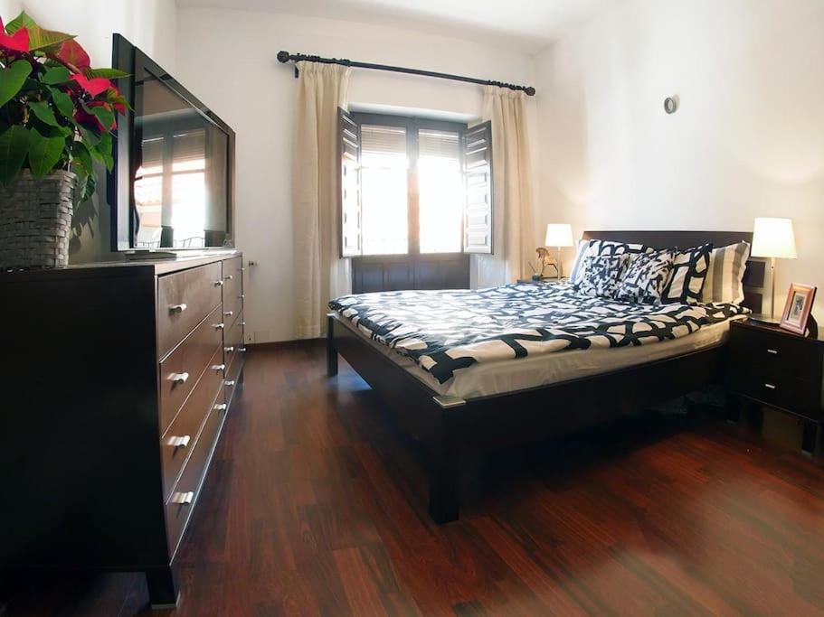 VIP HOUSE RENTALS, entire apartment in Malaga Old Town