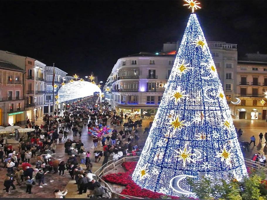 VIP HOUSE RENTALS, entire apartment in Malaga Old Town