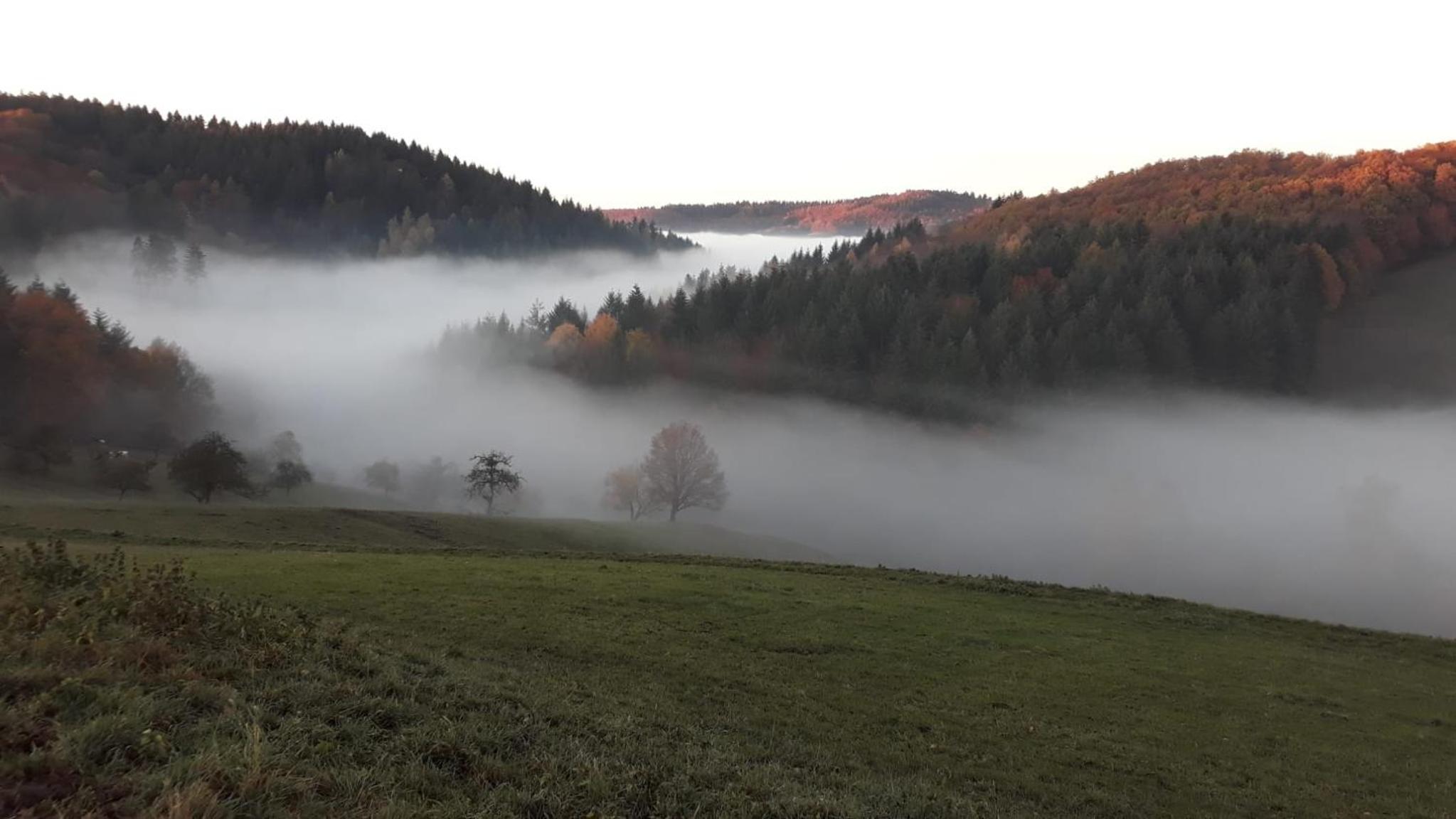 Fachwerkhaus mitten in der Natur