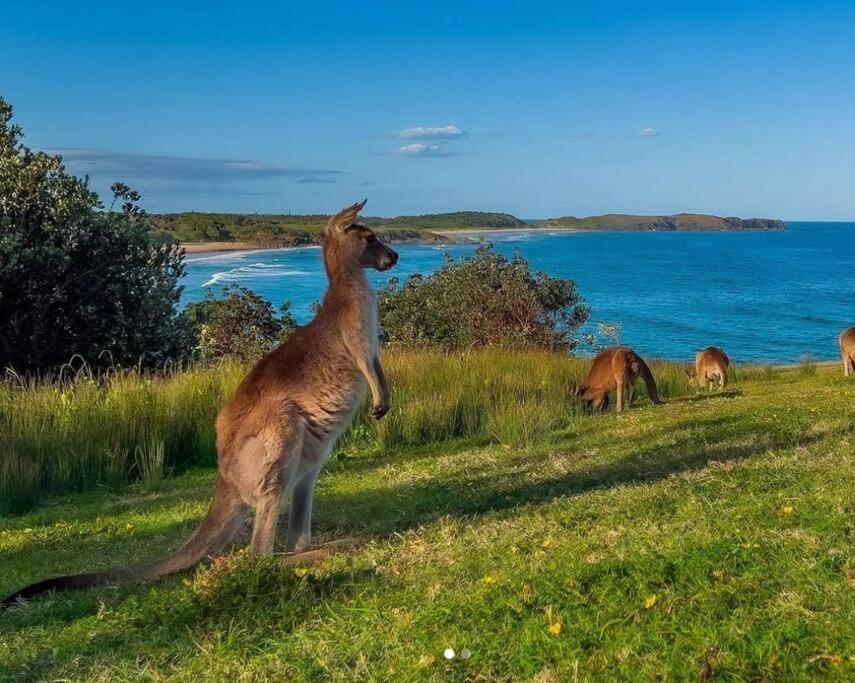 Emerald Break- The Perfect Coastal Escape
