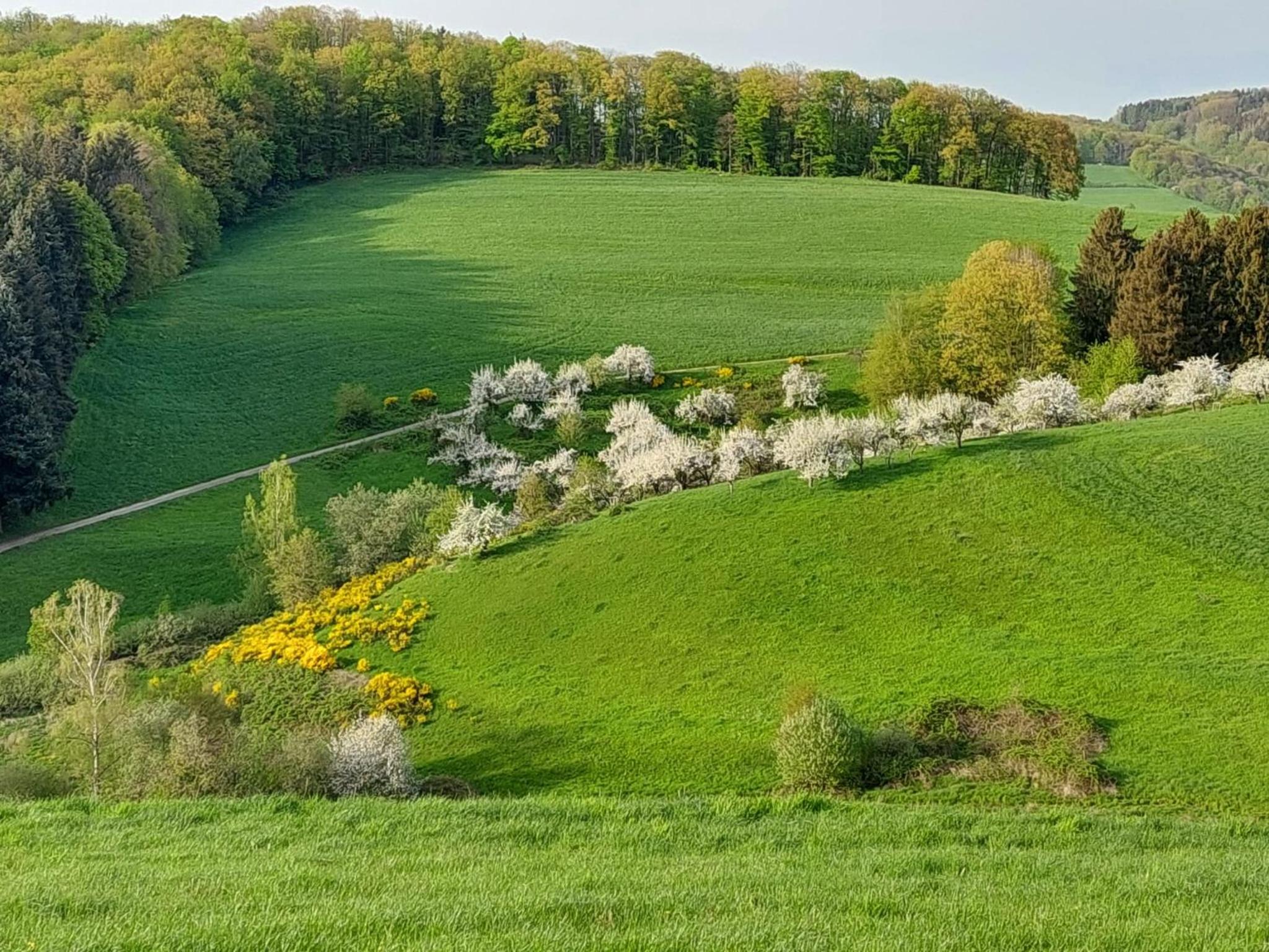 Fachwerkhaus mitten in der Natur