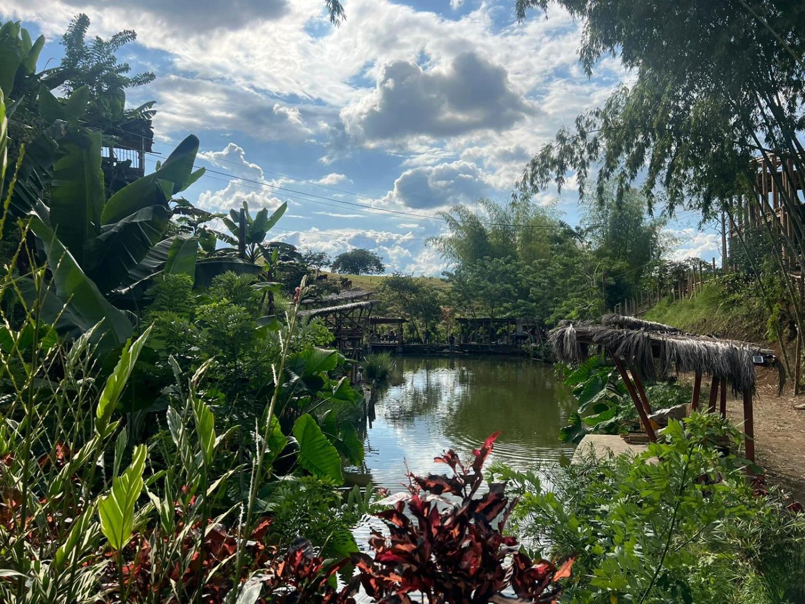 Los lagos del abuelo