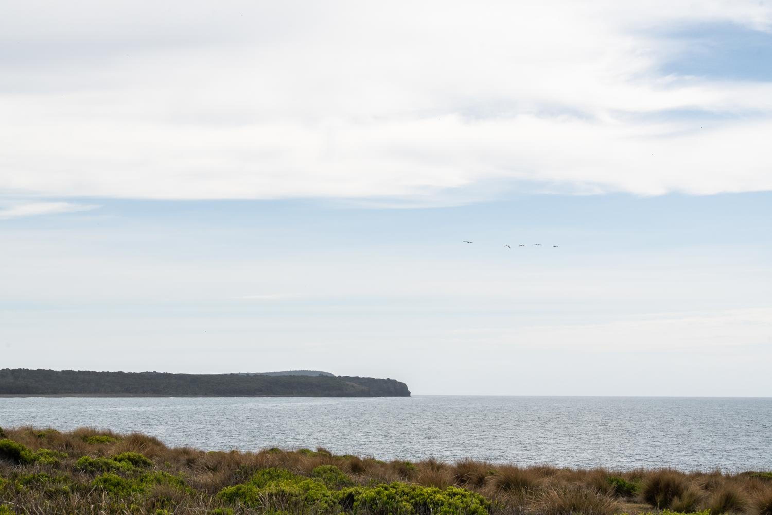 Seaspray Beach House