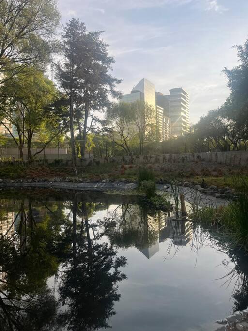 Depa entero unos pasos de Chapultepec, Polanco, Auditorio, Los Pinos view 3