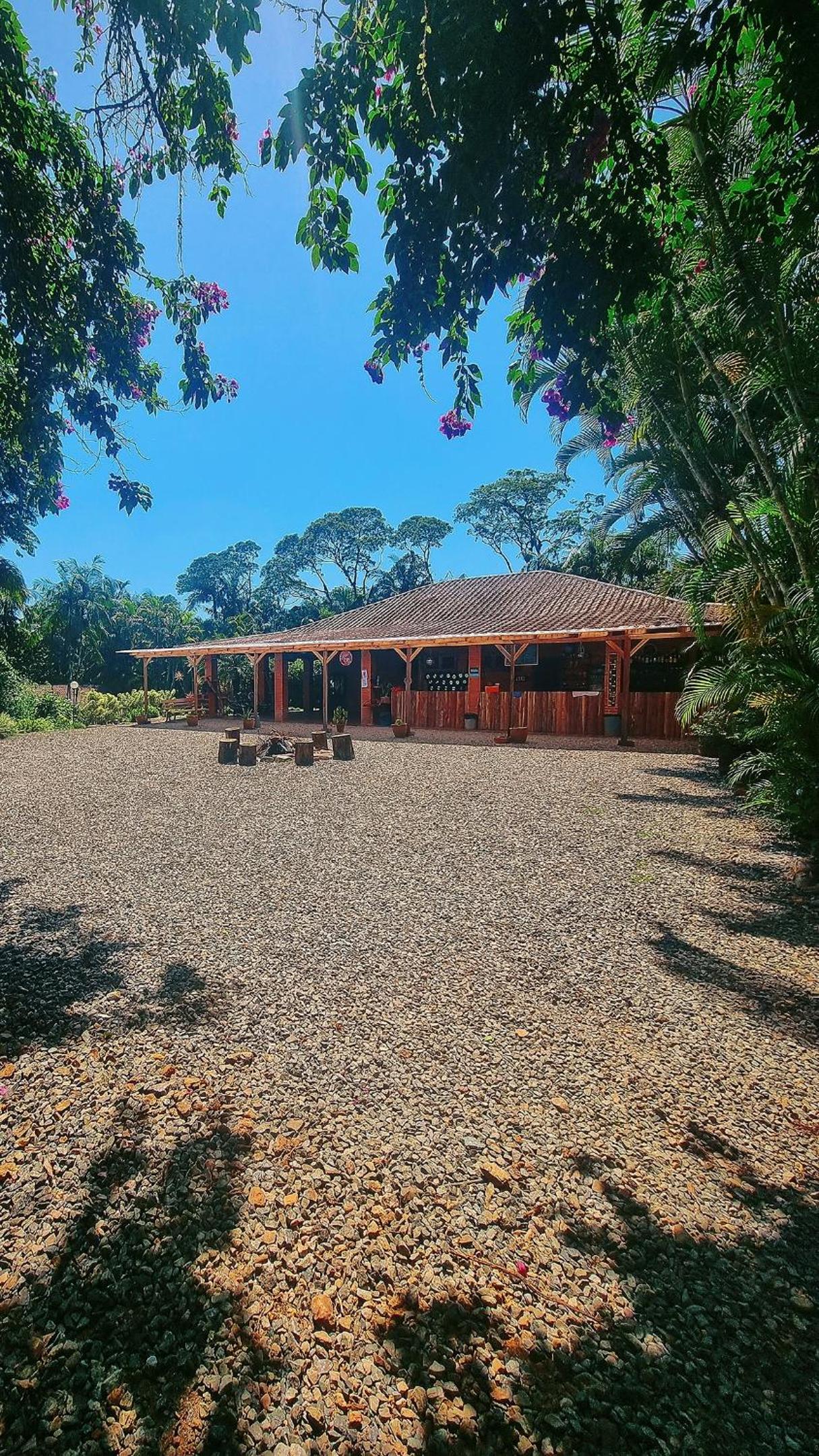 Casa da Árvore