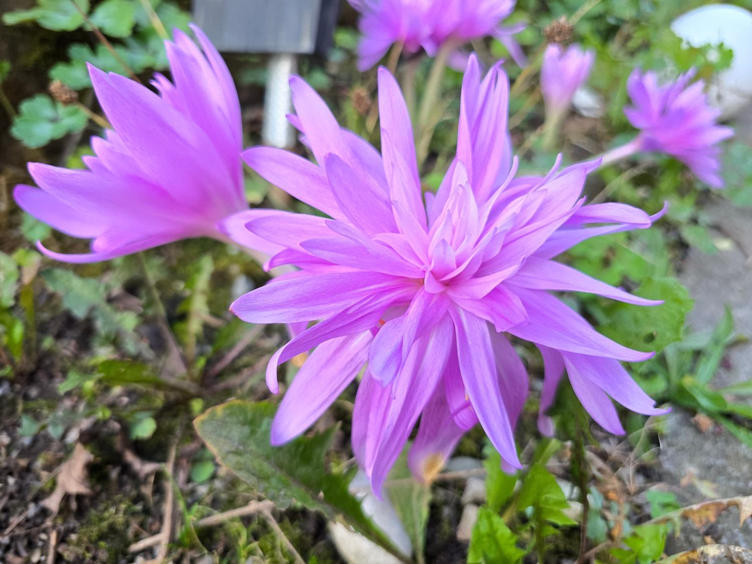 other