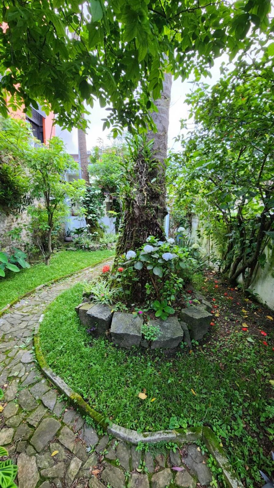 Muito espaço e natureza no meio da cidade