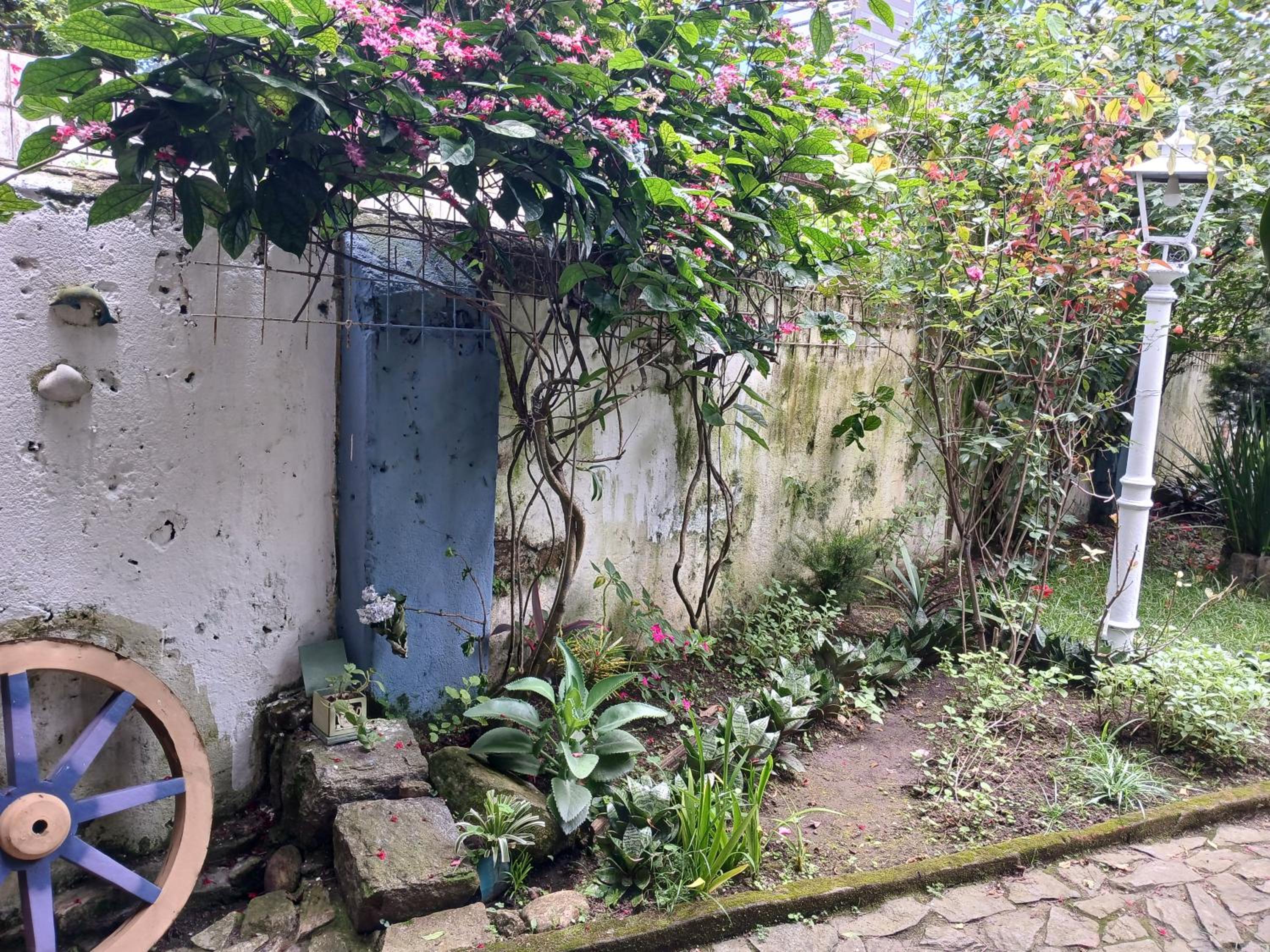 Muito espaço e natureza no meio da cidade