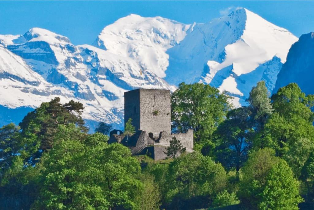 Zentral I 20Min nach Interlaken
