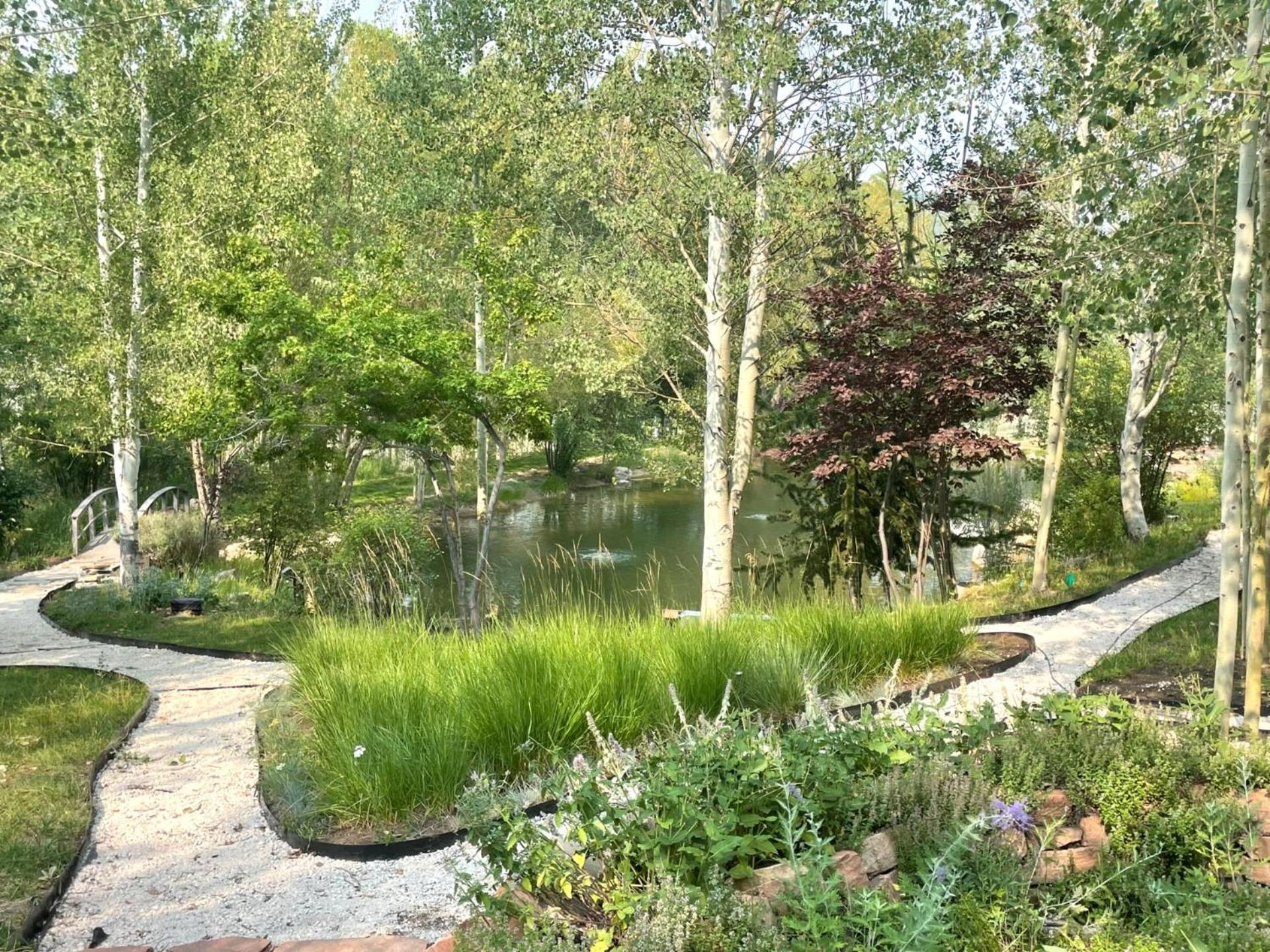 Photo 6