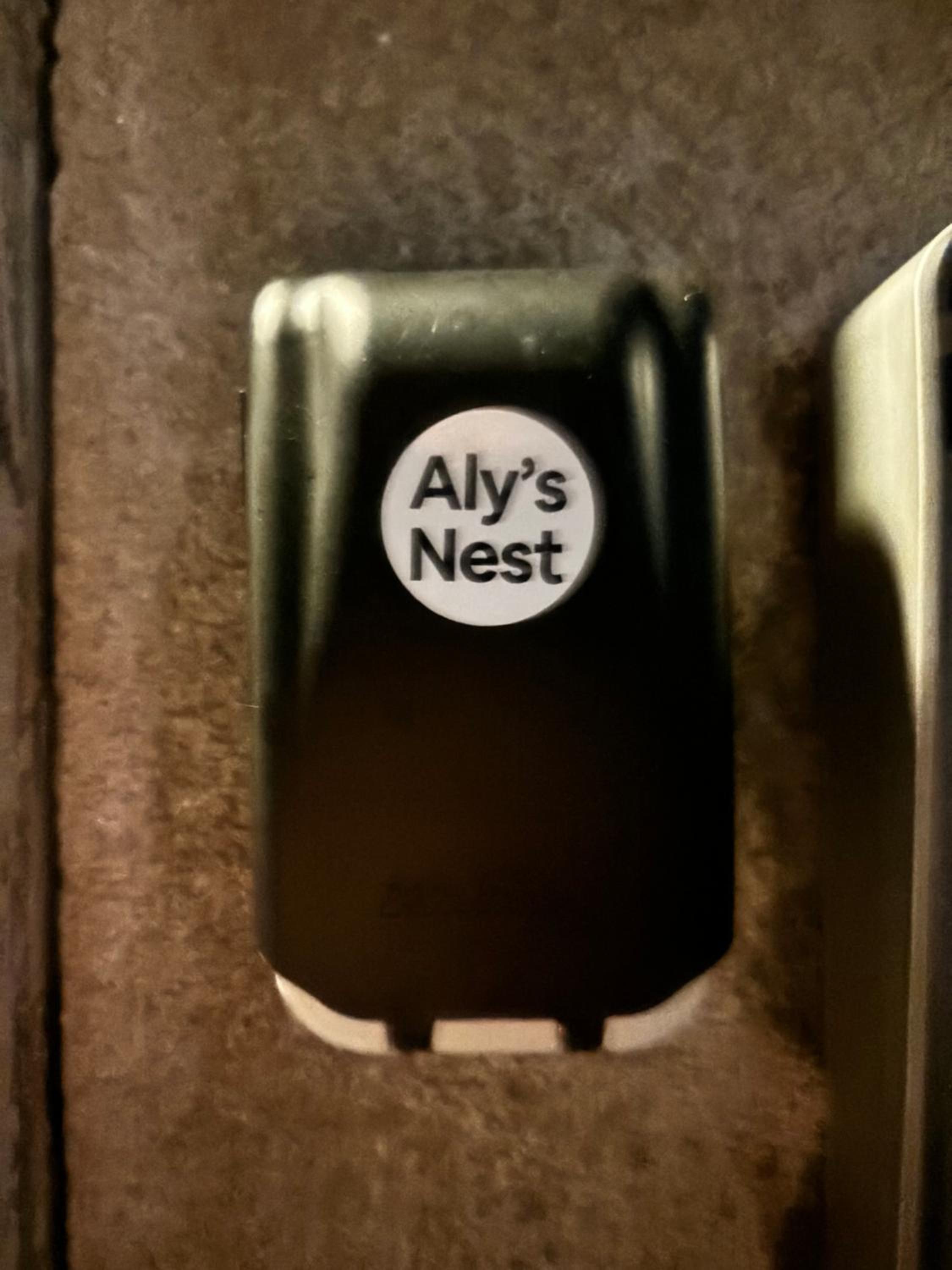 AlysNest