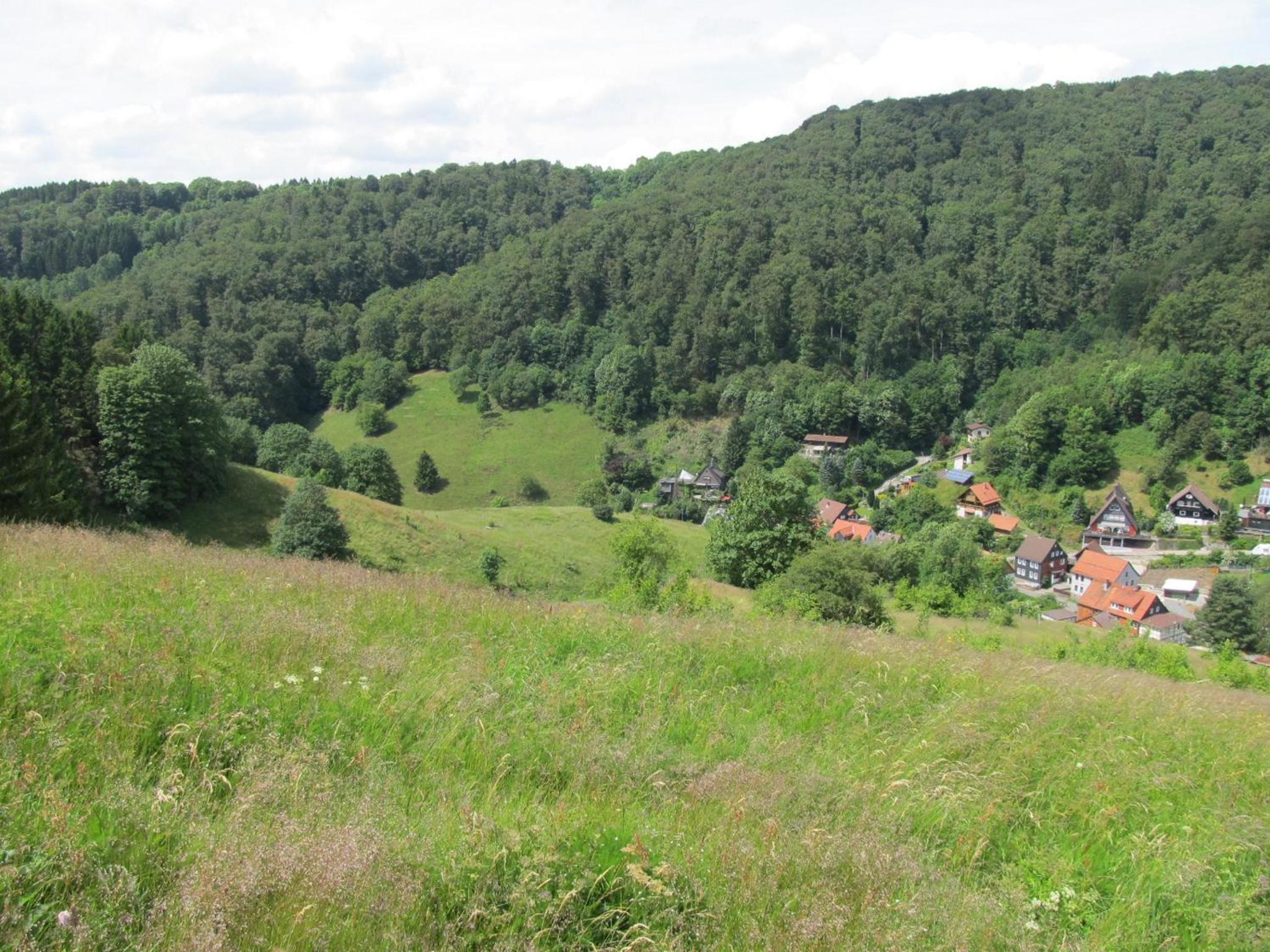 Hexenstieg House Lerbach view 2