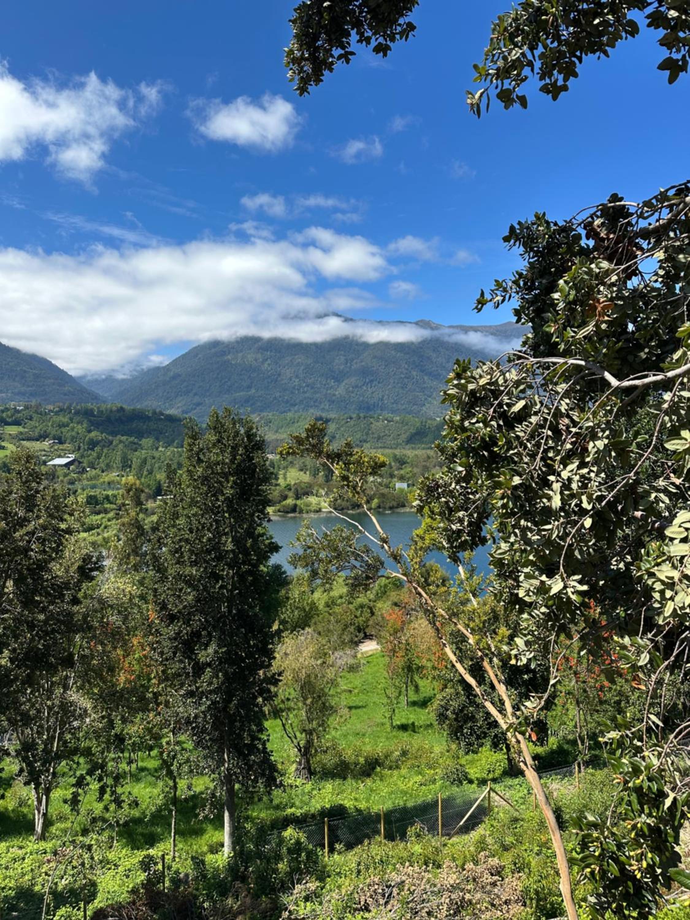 Casona del Lago Ranco