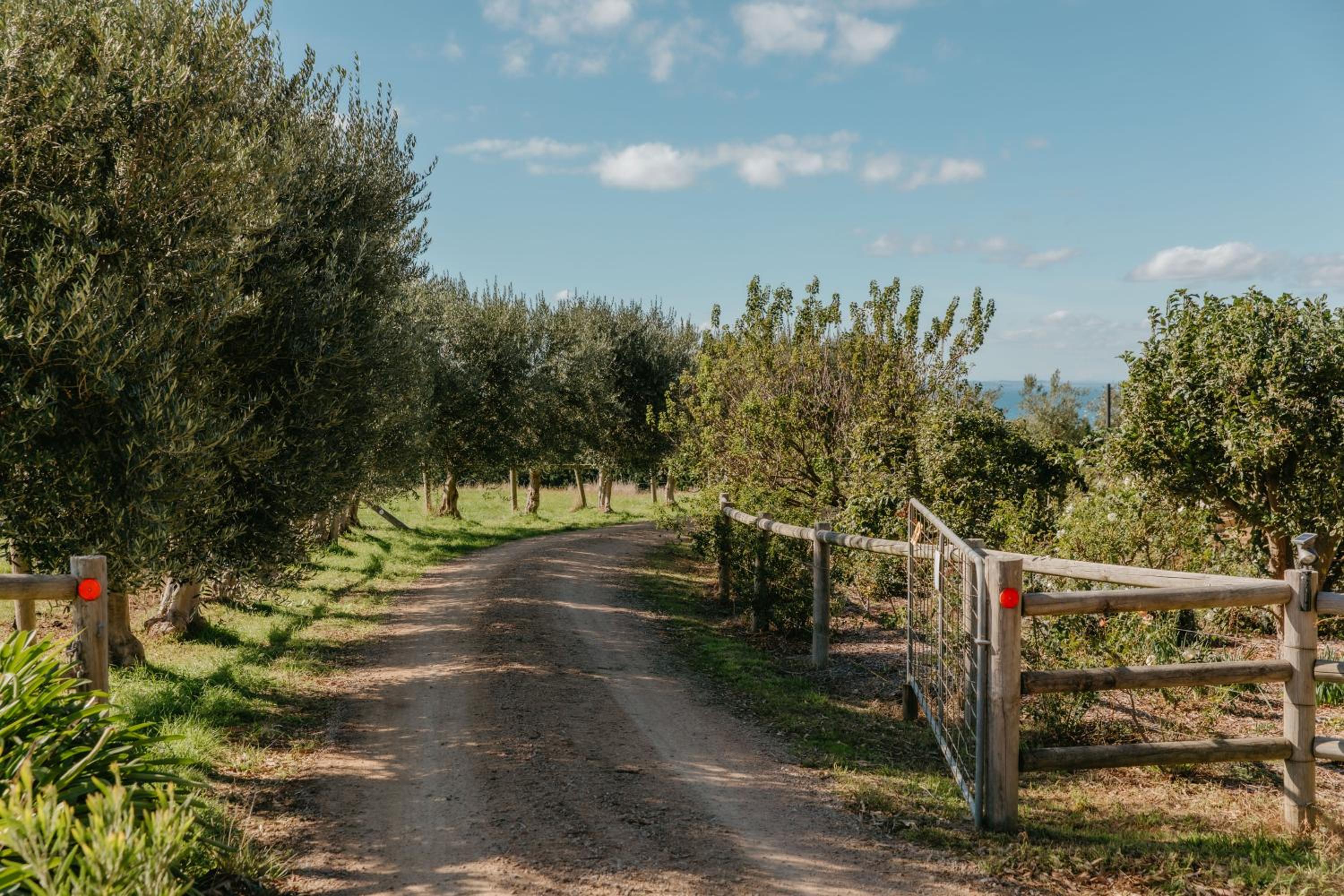 La Vista Janoora