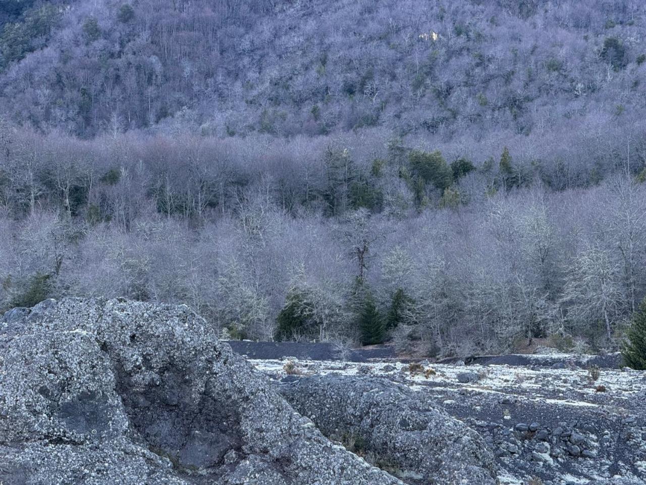 Conguillio Lava Cave