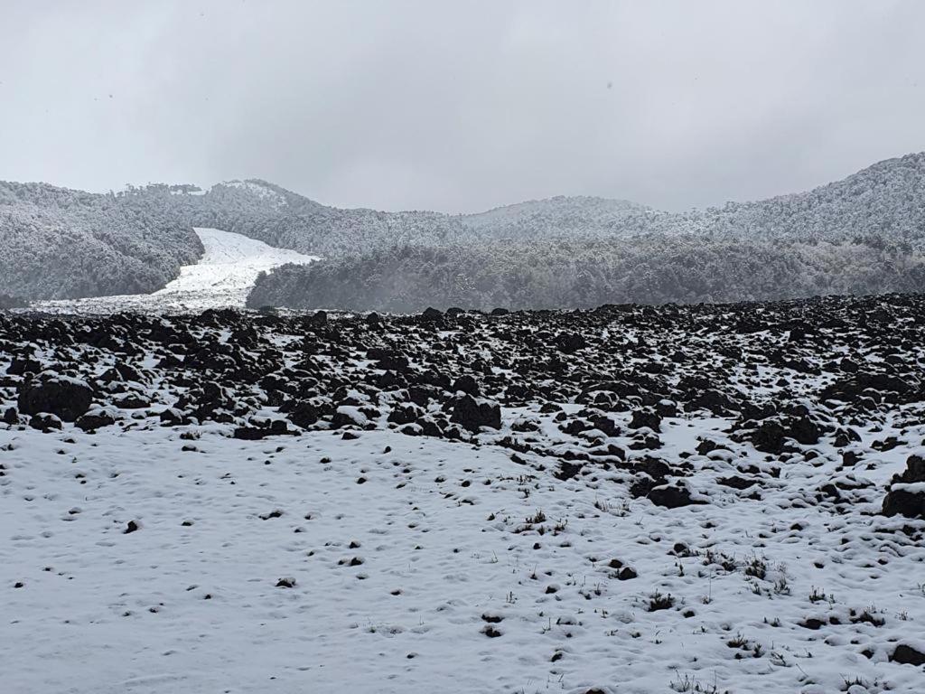 Conguillio Lava Cave