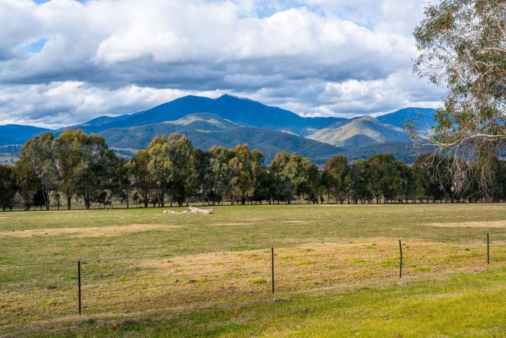 Bogong views at your doorstep!