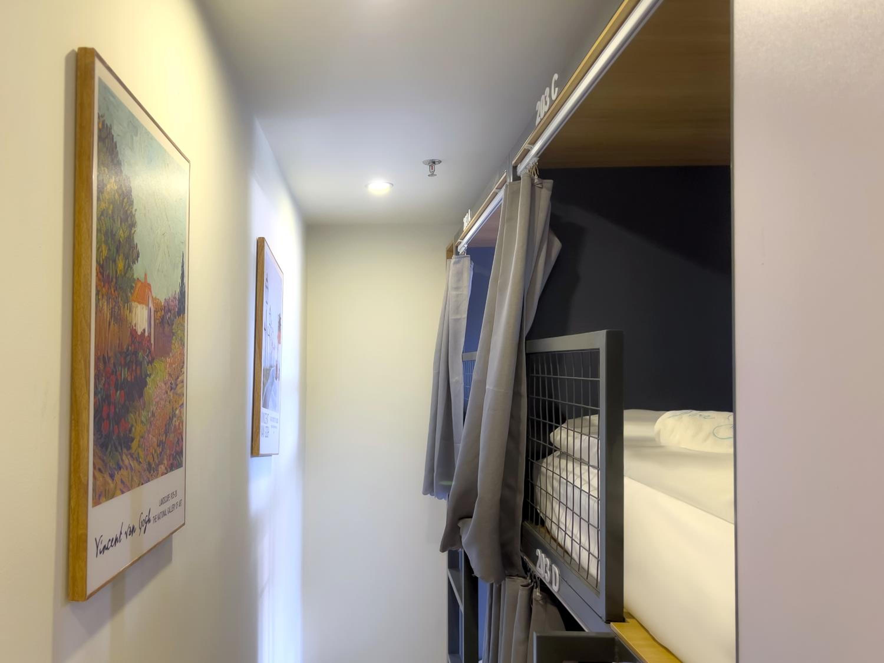The Backpacker Hostel and spa