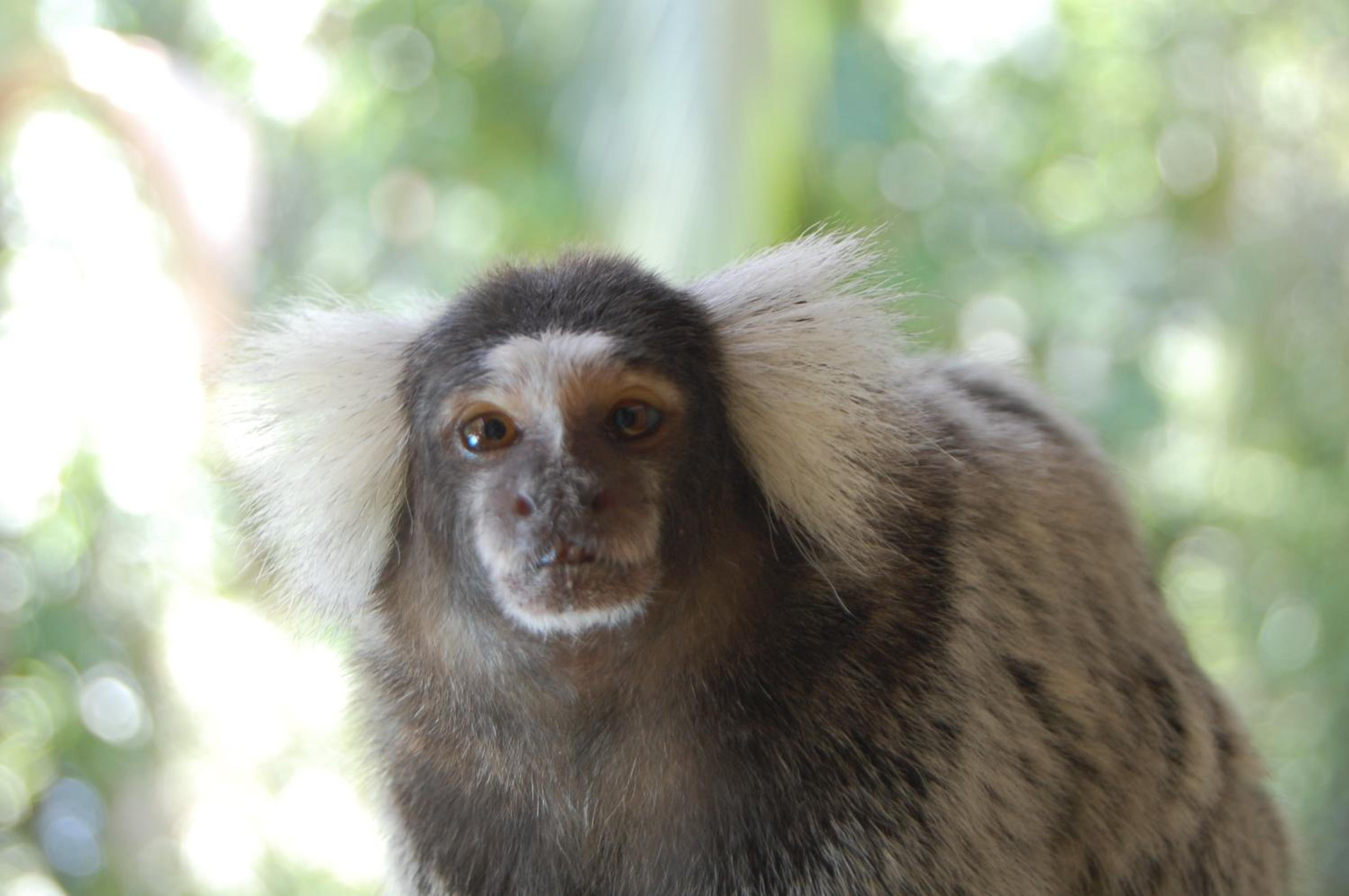 Pousada Águas de Parati