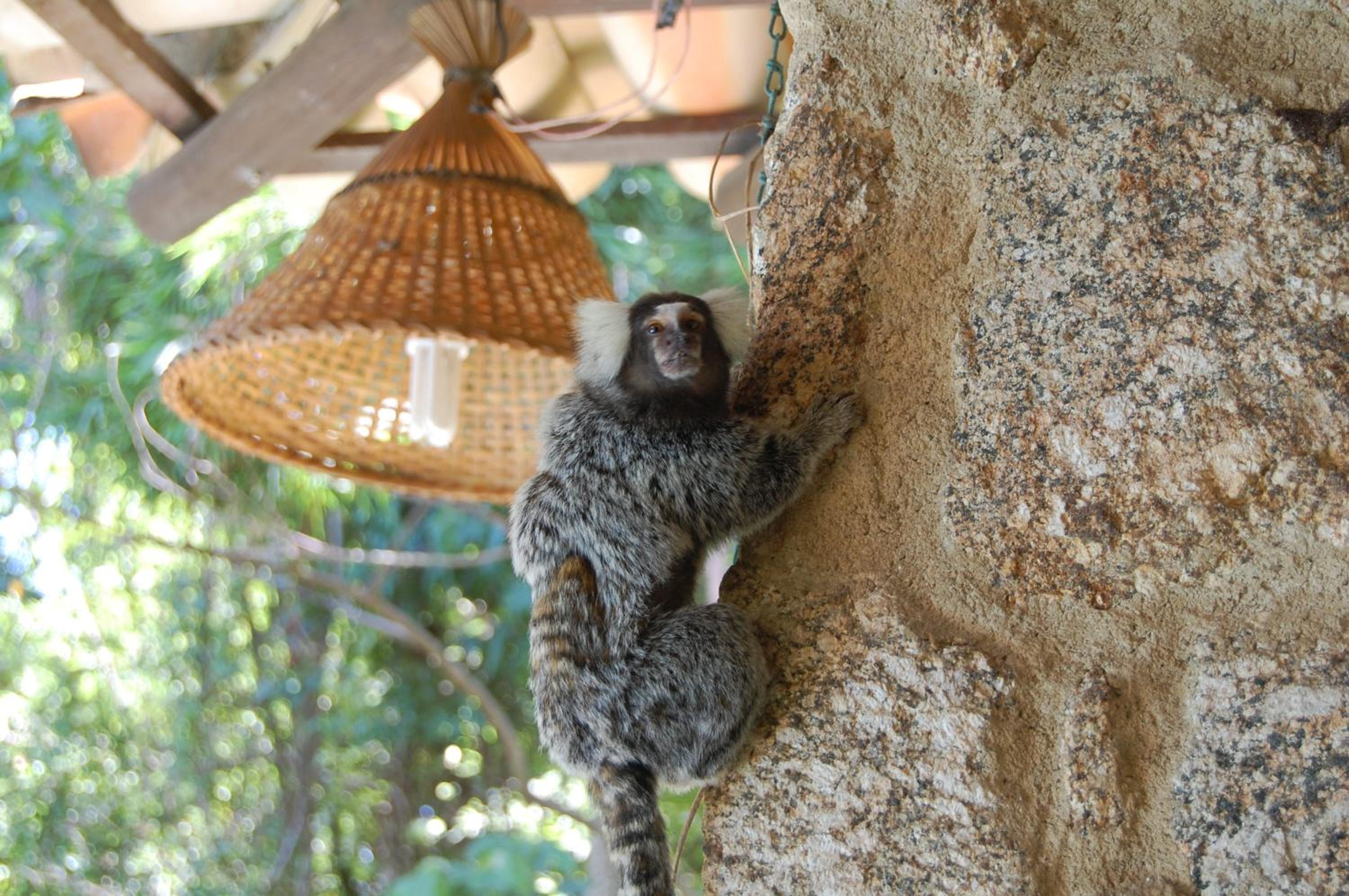 Pousada Águas de Parati