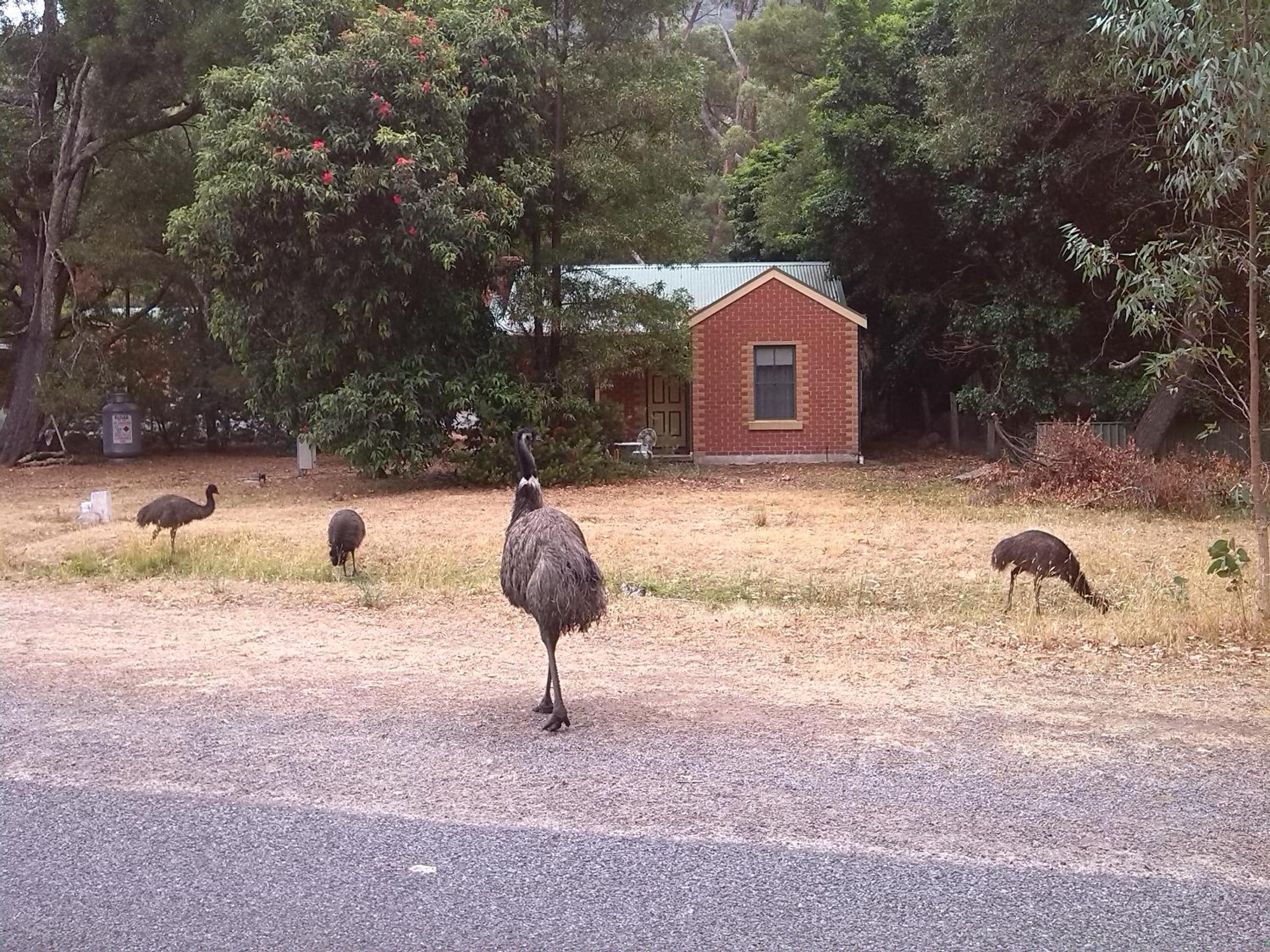 Heatherlie Cottages Halls Gap