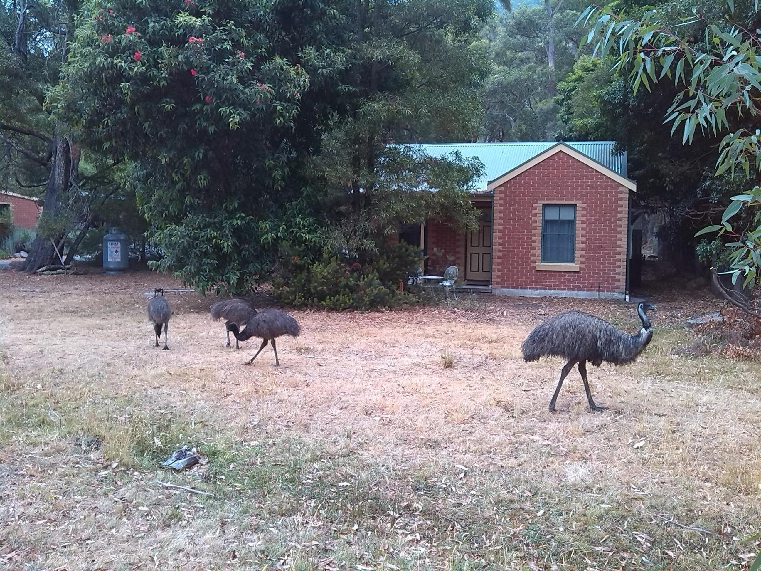 Heatherlie Cottages Halls Gap