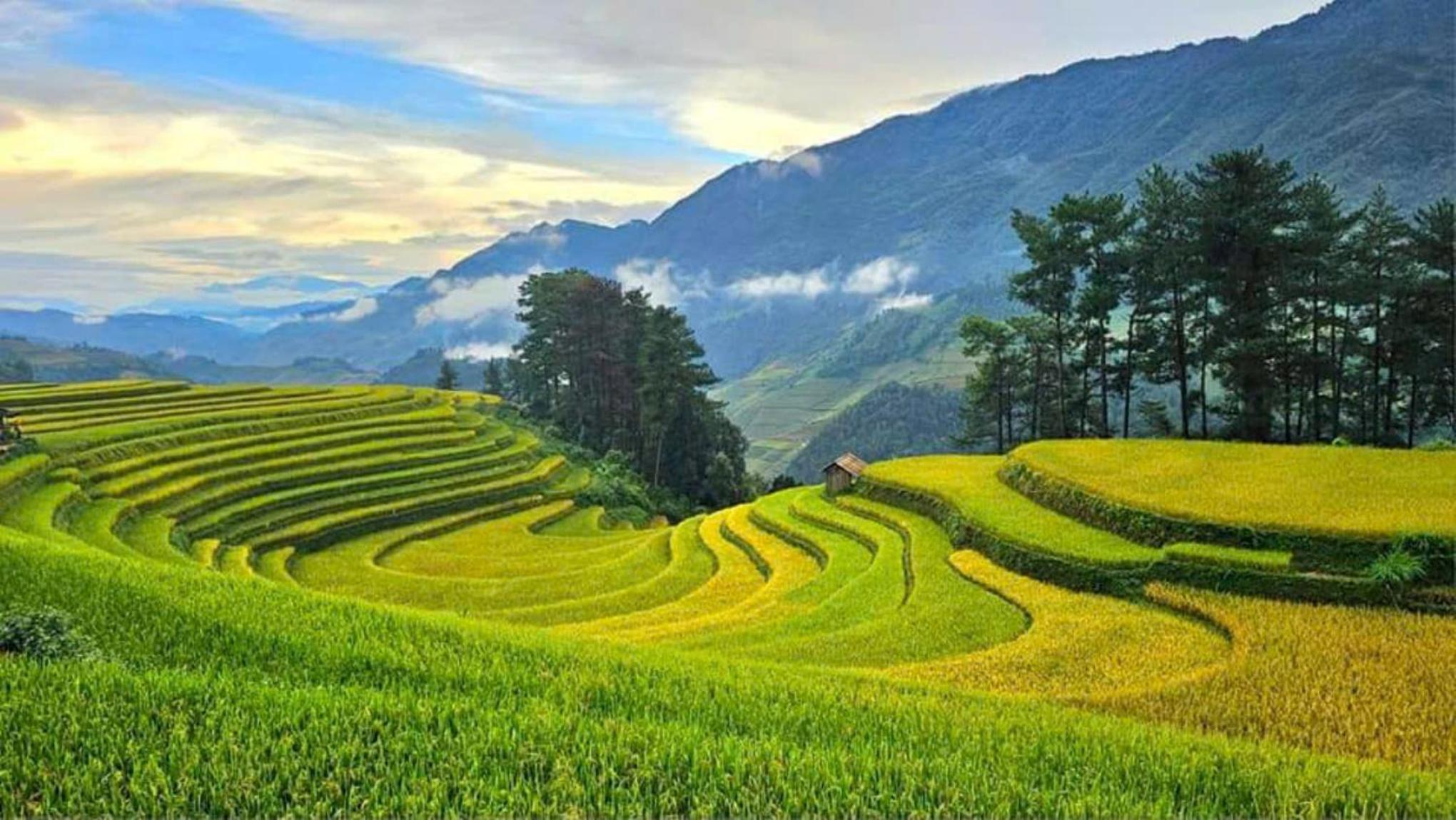 Hà Châu Homestay view 4