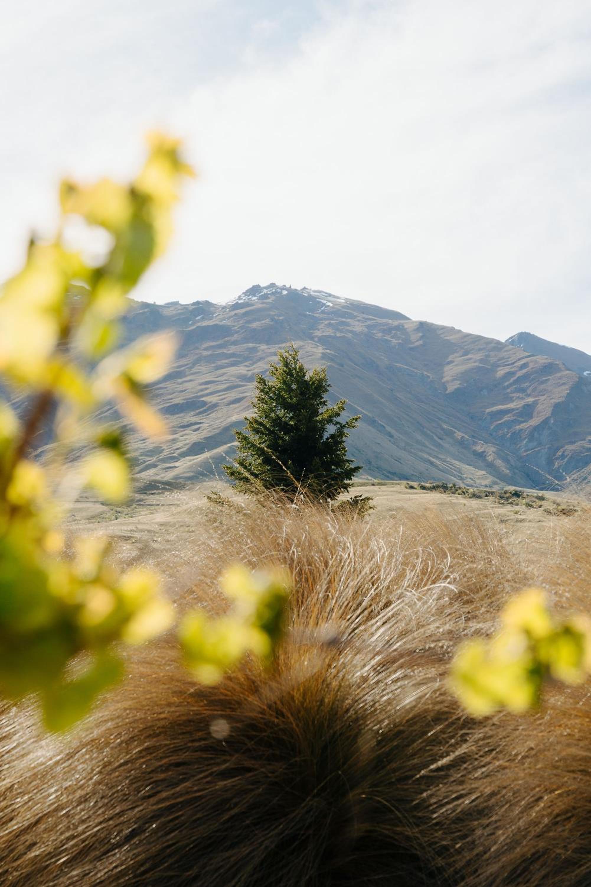 Cardrona Alpine Villa