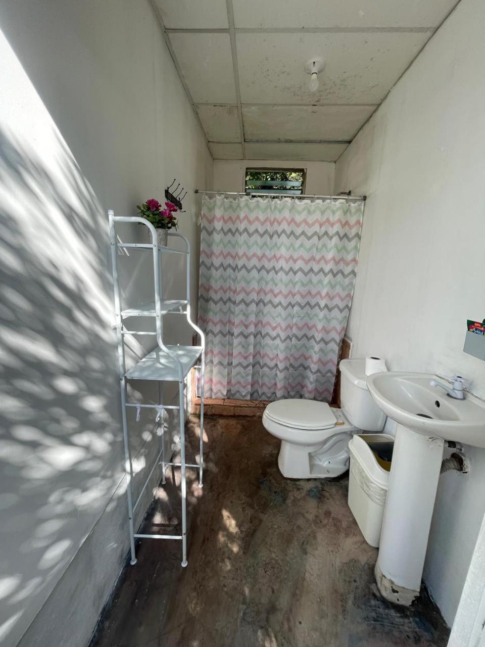 Hostel SaltWater