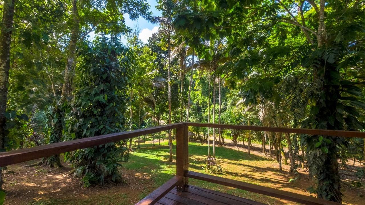 Cahuita Hills