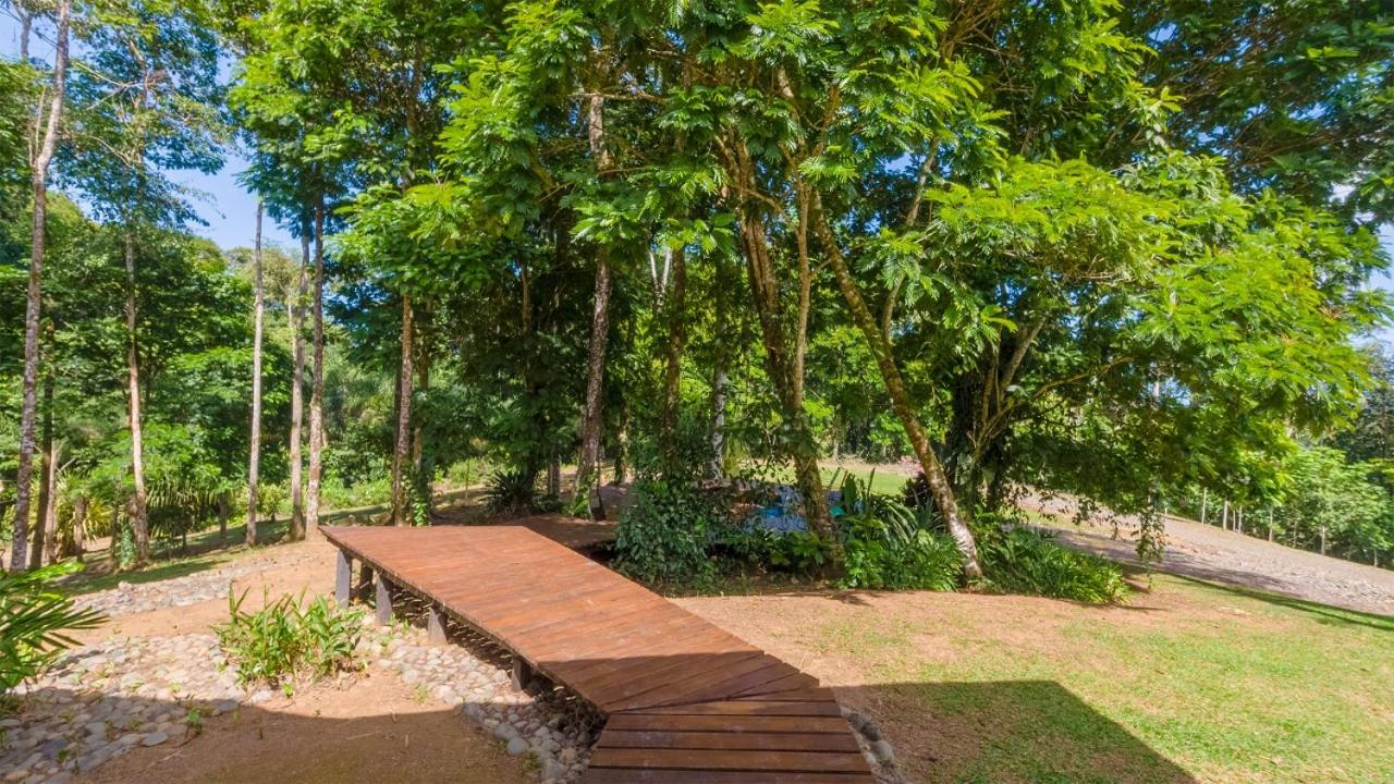 Cahuita Hills