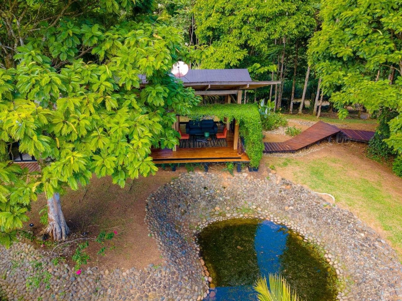 Cahuita Hills