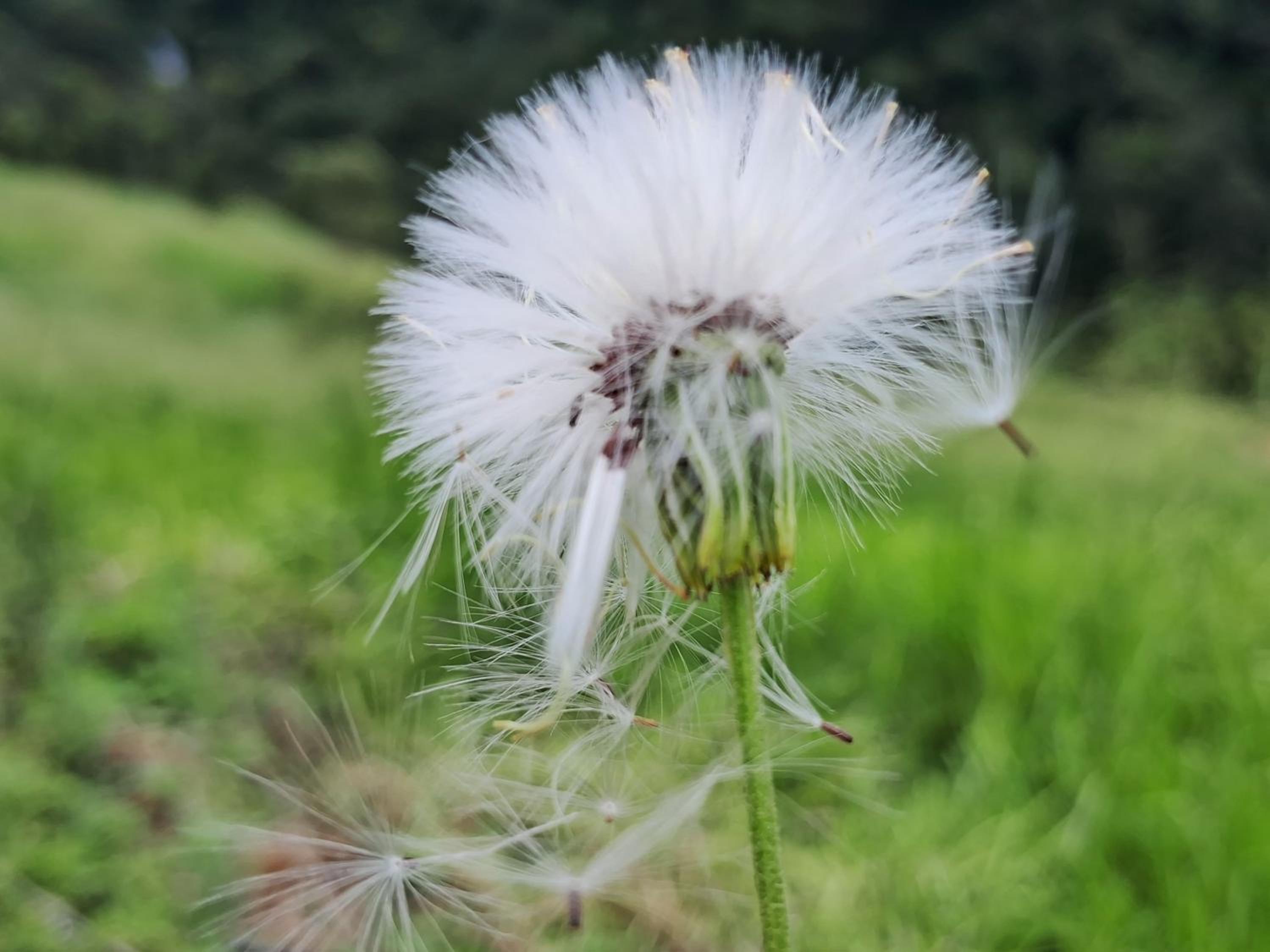 Ayu Bliss Elamulla, Mandaramnuwara view 2