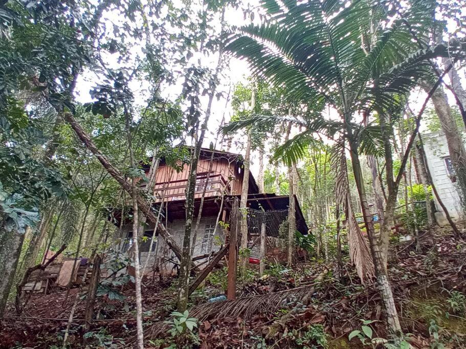 Chalé Refúgio dos Aventureiros Mata Atlântica