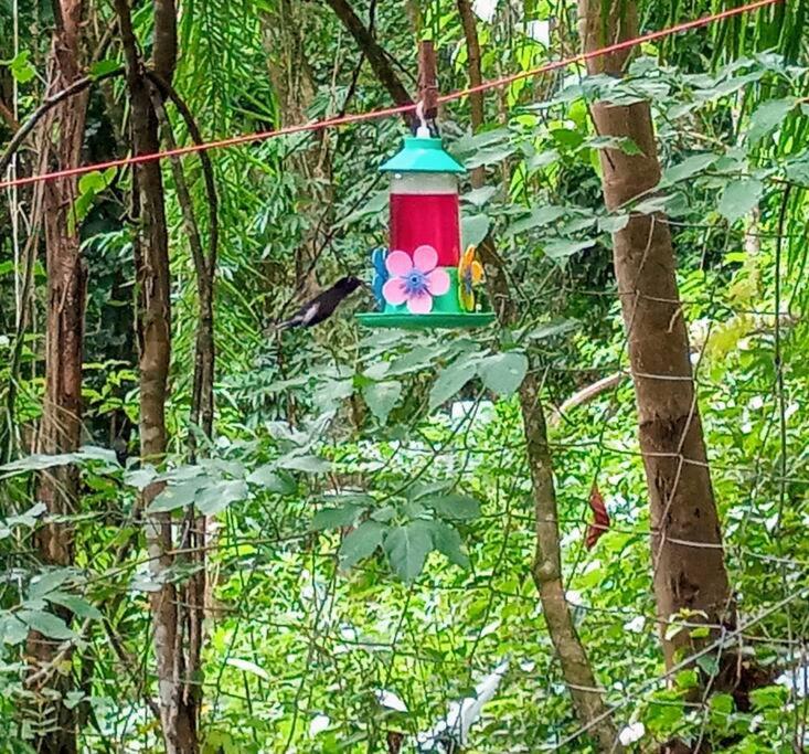 Chalé Refúgio dos Aventureiros Mata Atlântica