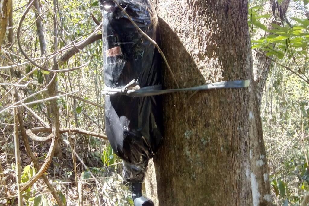 Chalé Refúgio dos Aventureiros Mata Atlântica