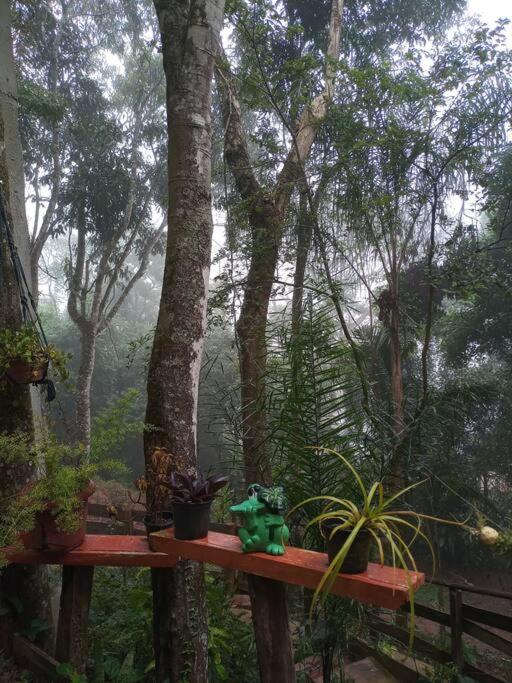 Chalé Refúgio dos Aventureiros Mata Atlântica