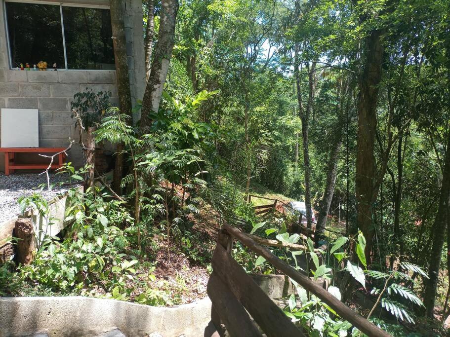 Chalé Refúgio dos Aventureiros Mata Atlântica