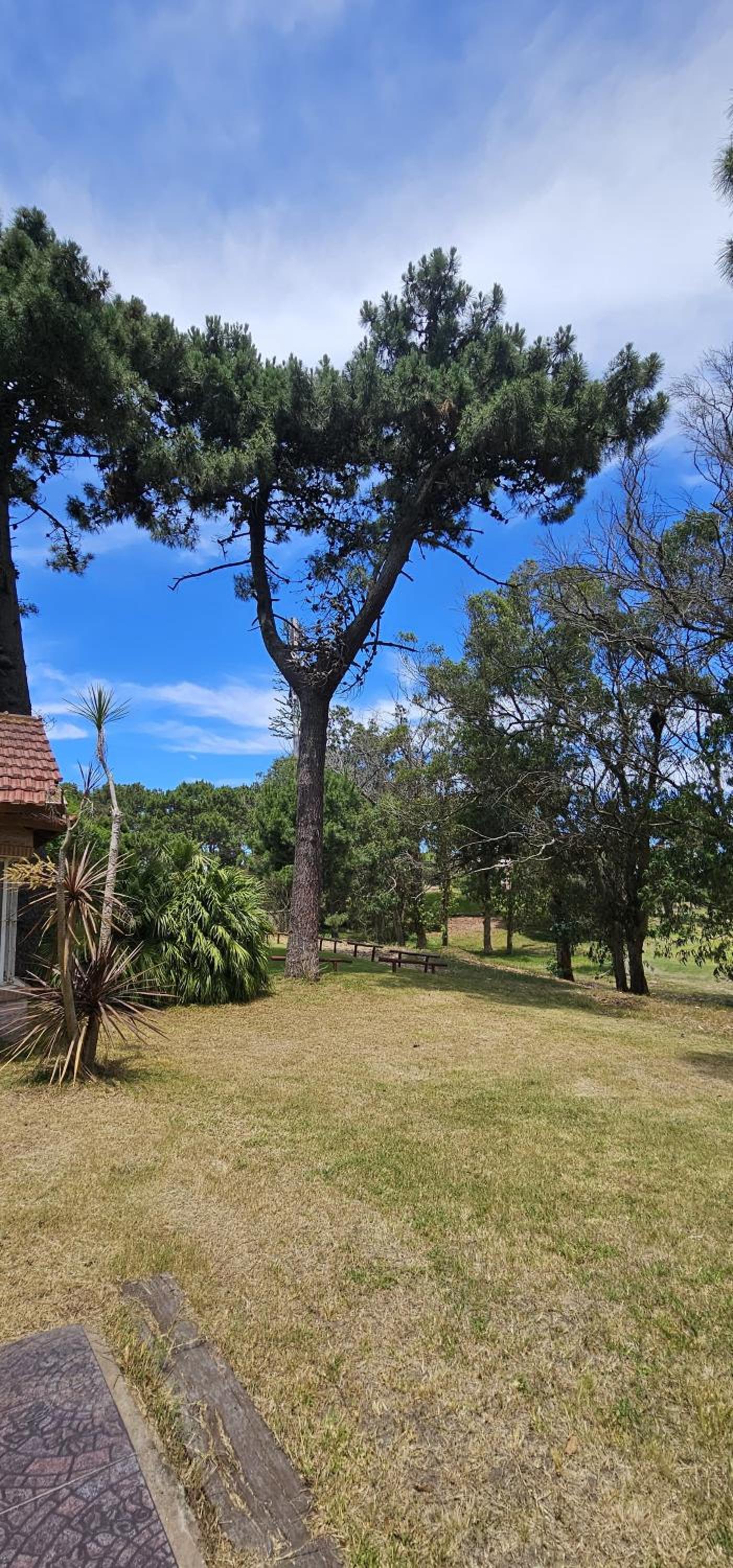Casa Golf Carmen