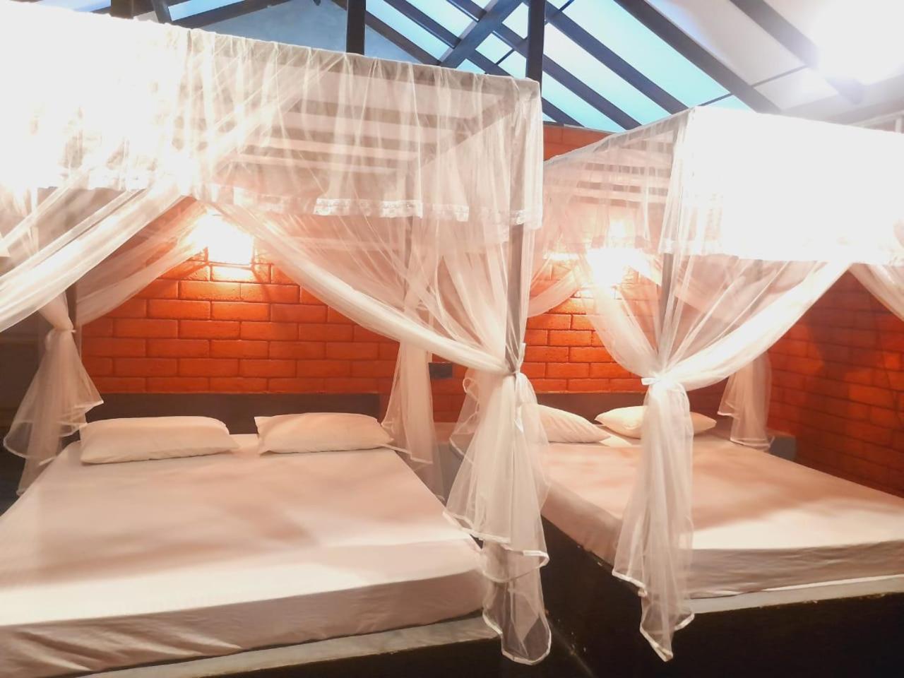 Sandalwood Safari Cottages view 4
