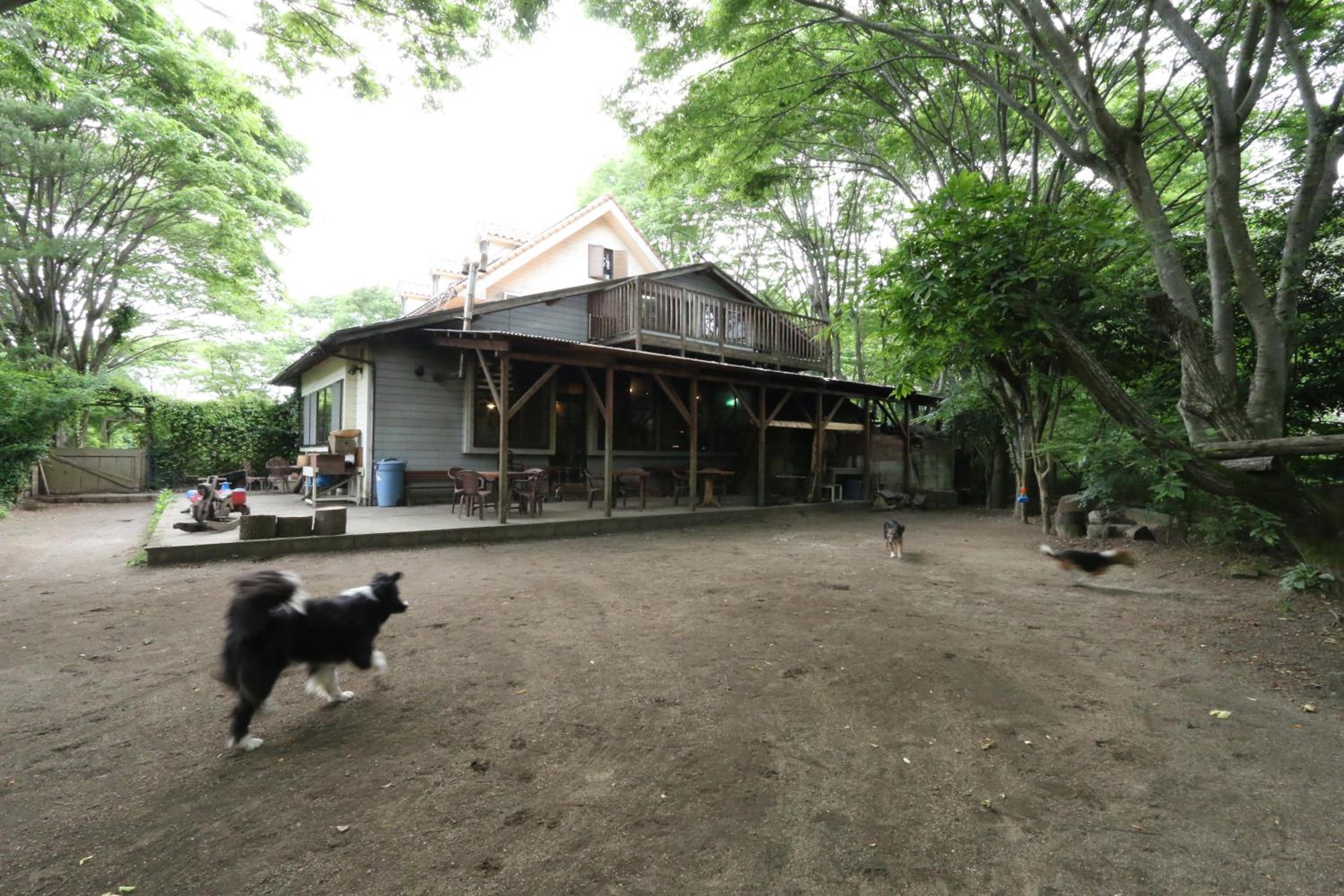 Photo 17