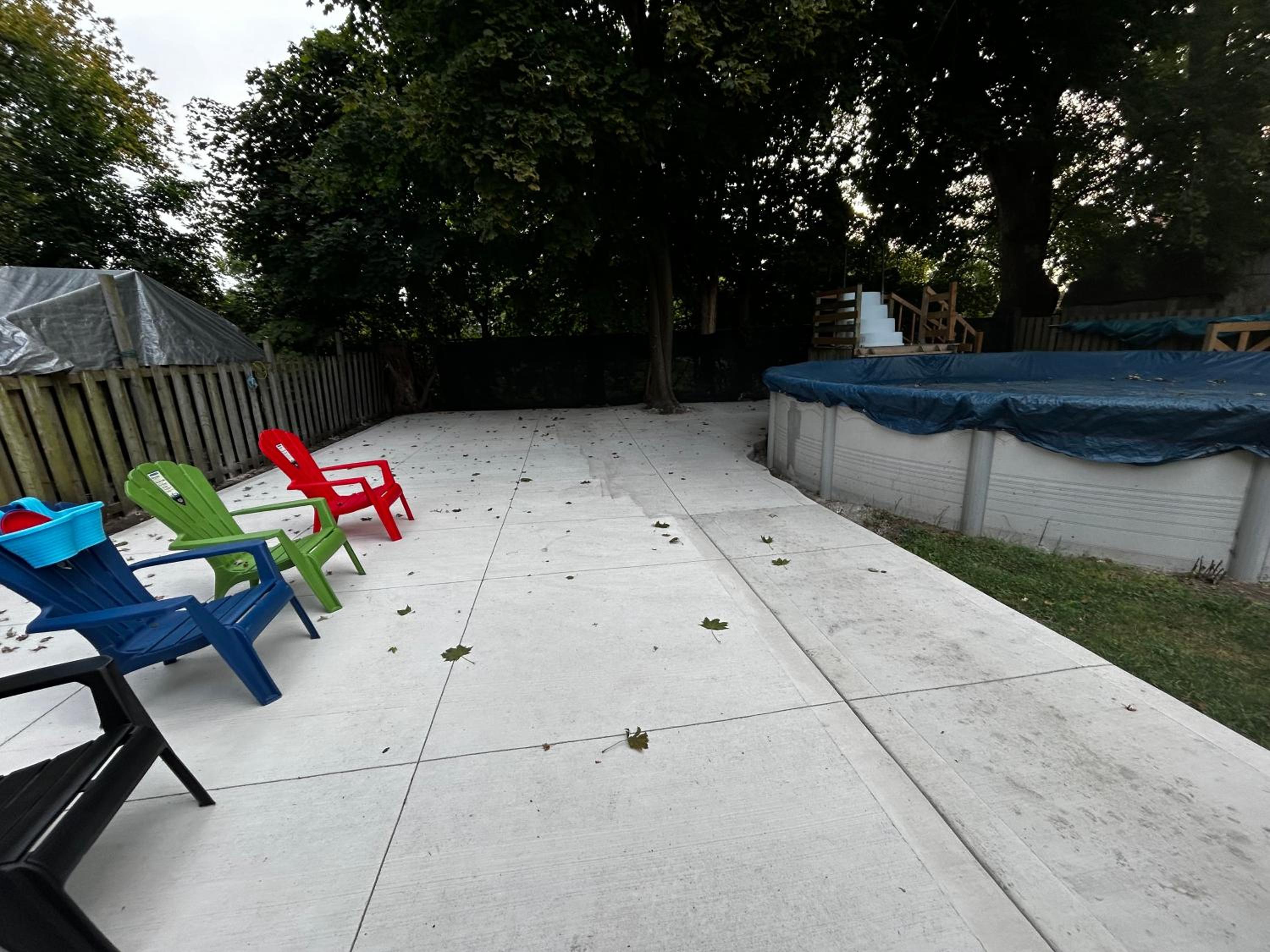 Tranquil Oasis in Lakeview