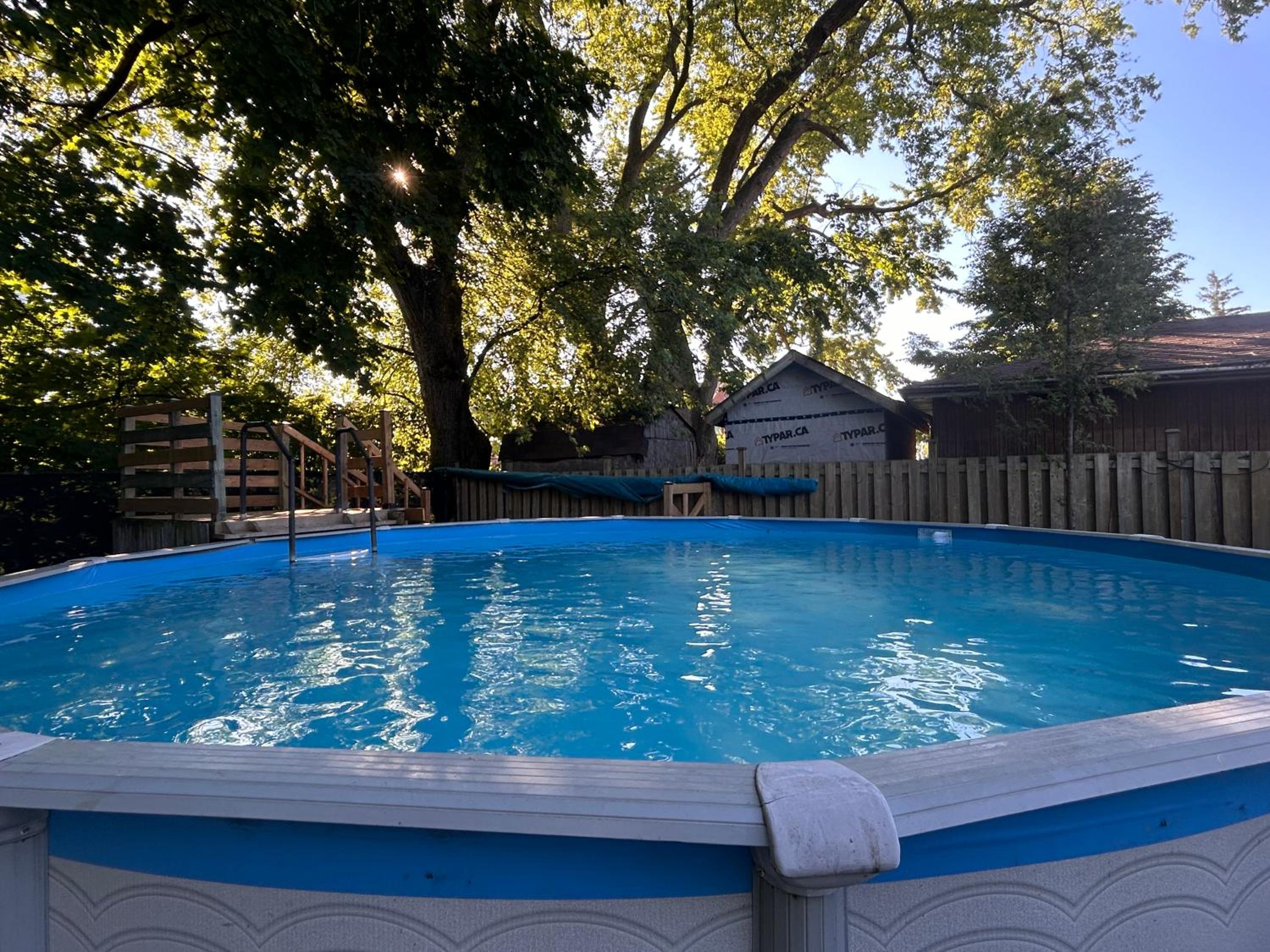 Tranquil Oasis in Lakeview
