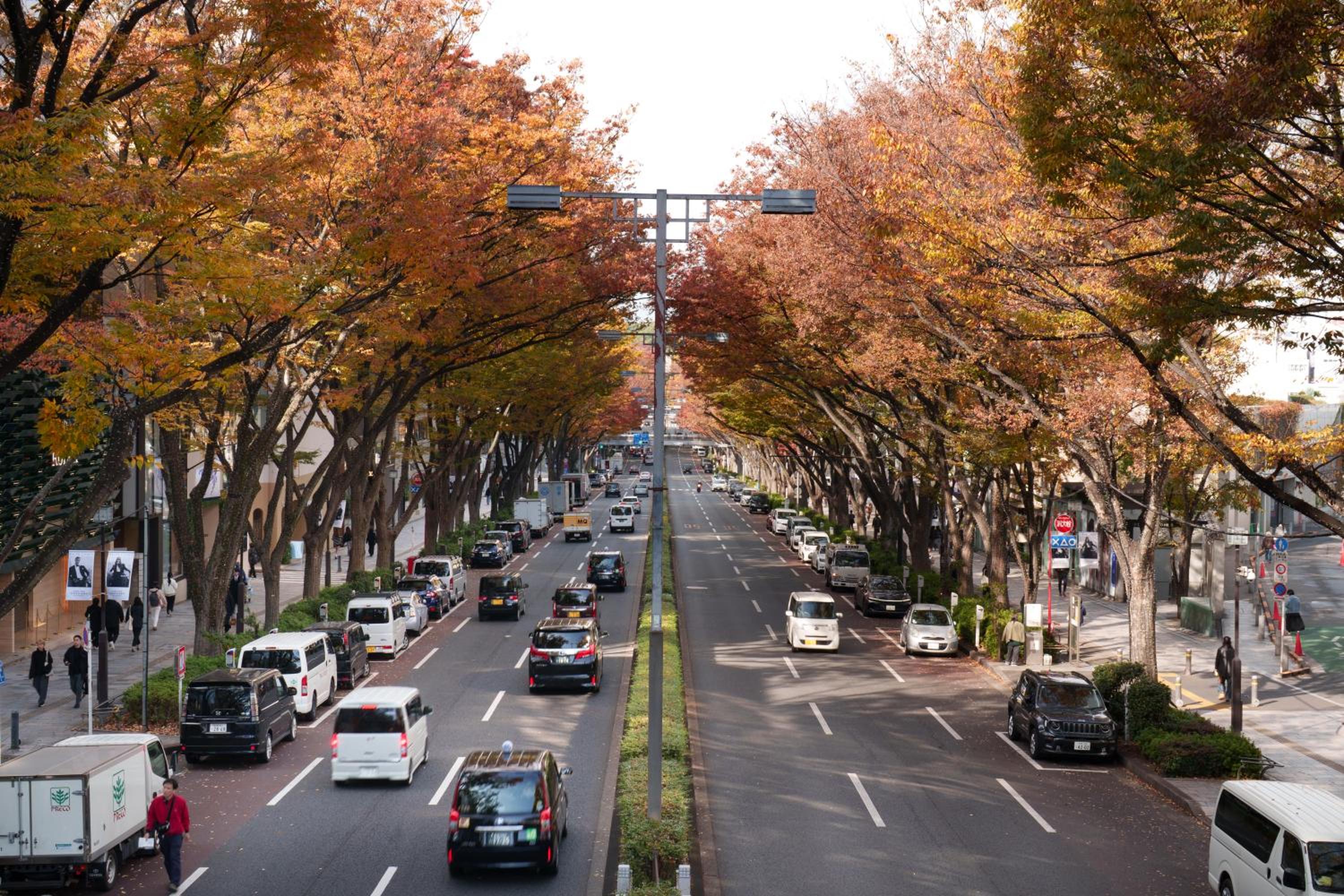 Ken's Place Omotesando