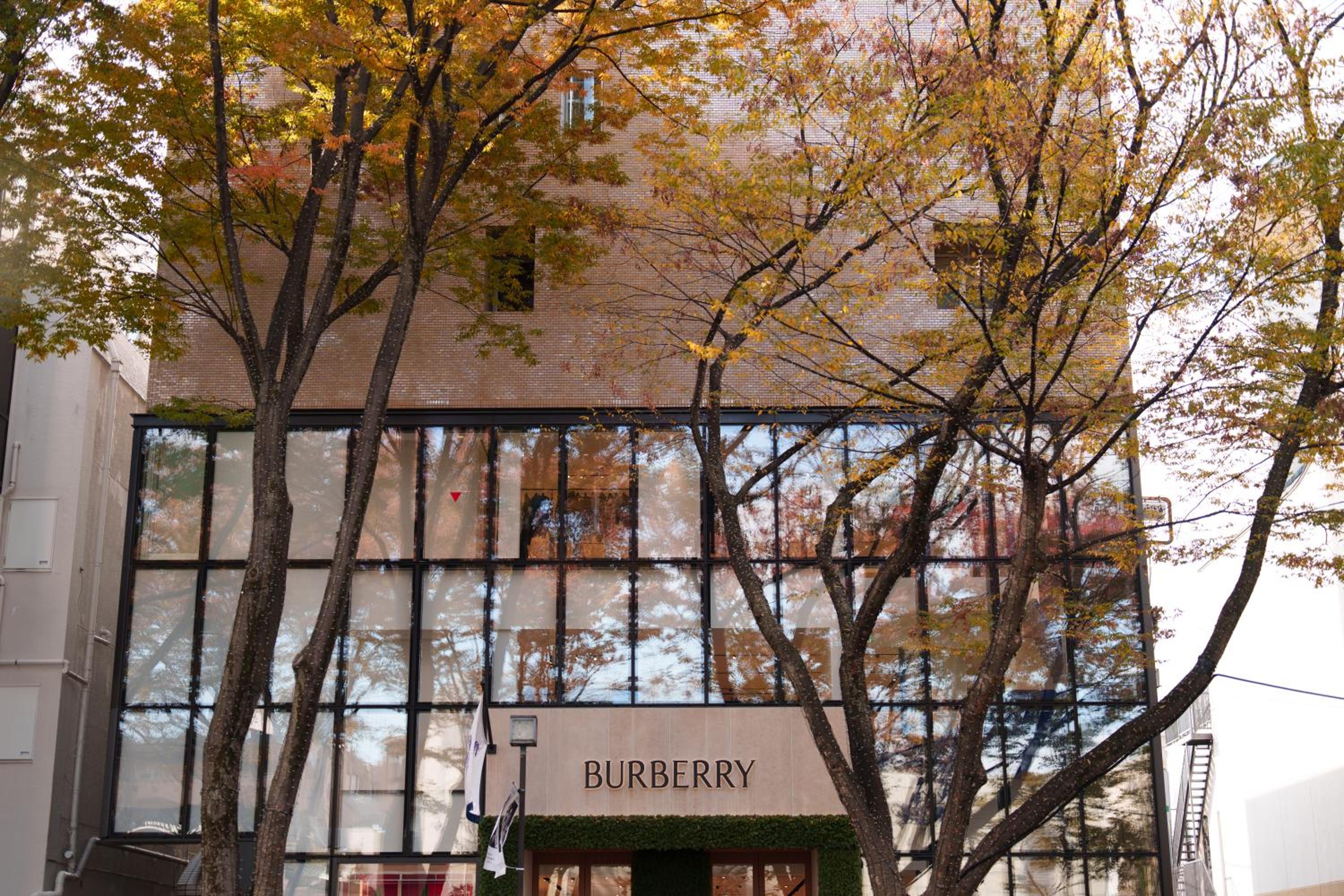 Ken's Place Omotesando
