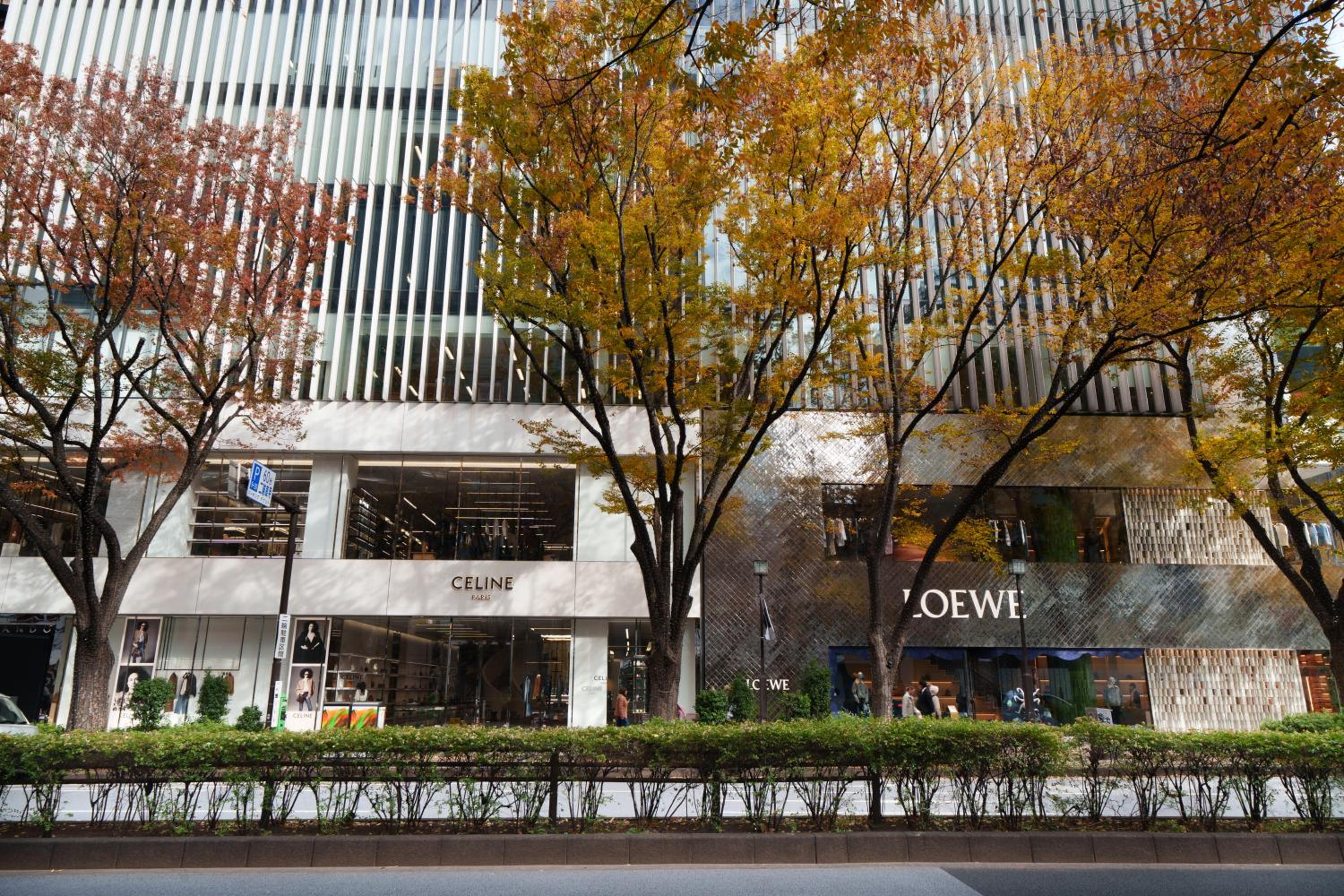 Ken's Place Omotesando